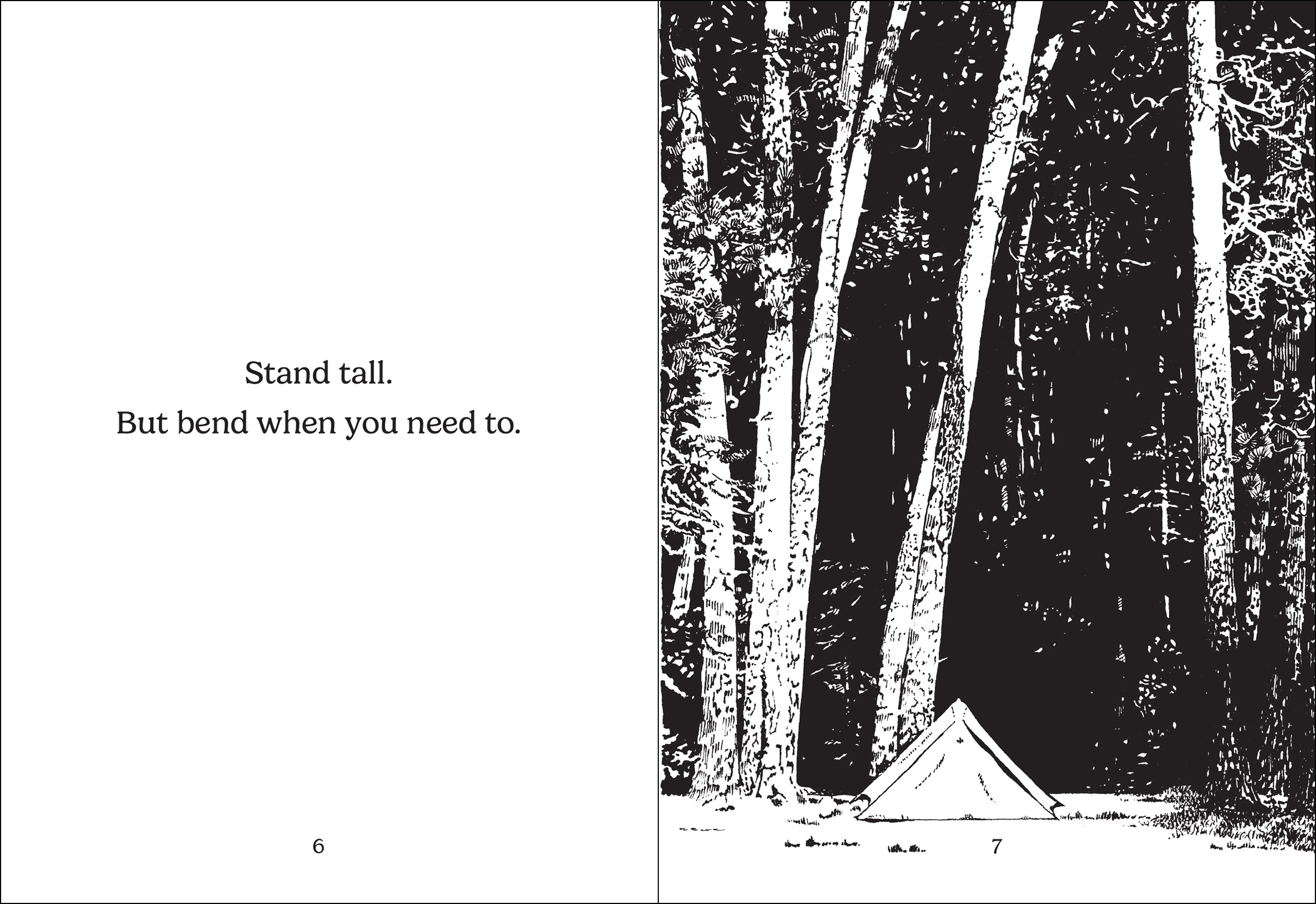The Things Trees Know