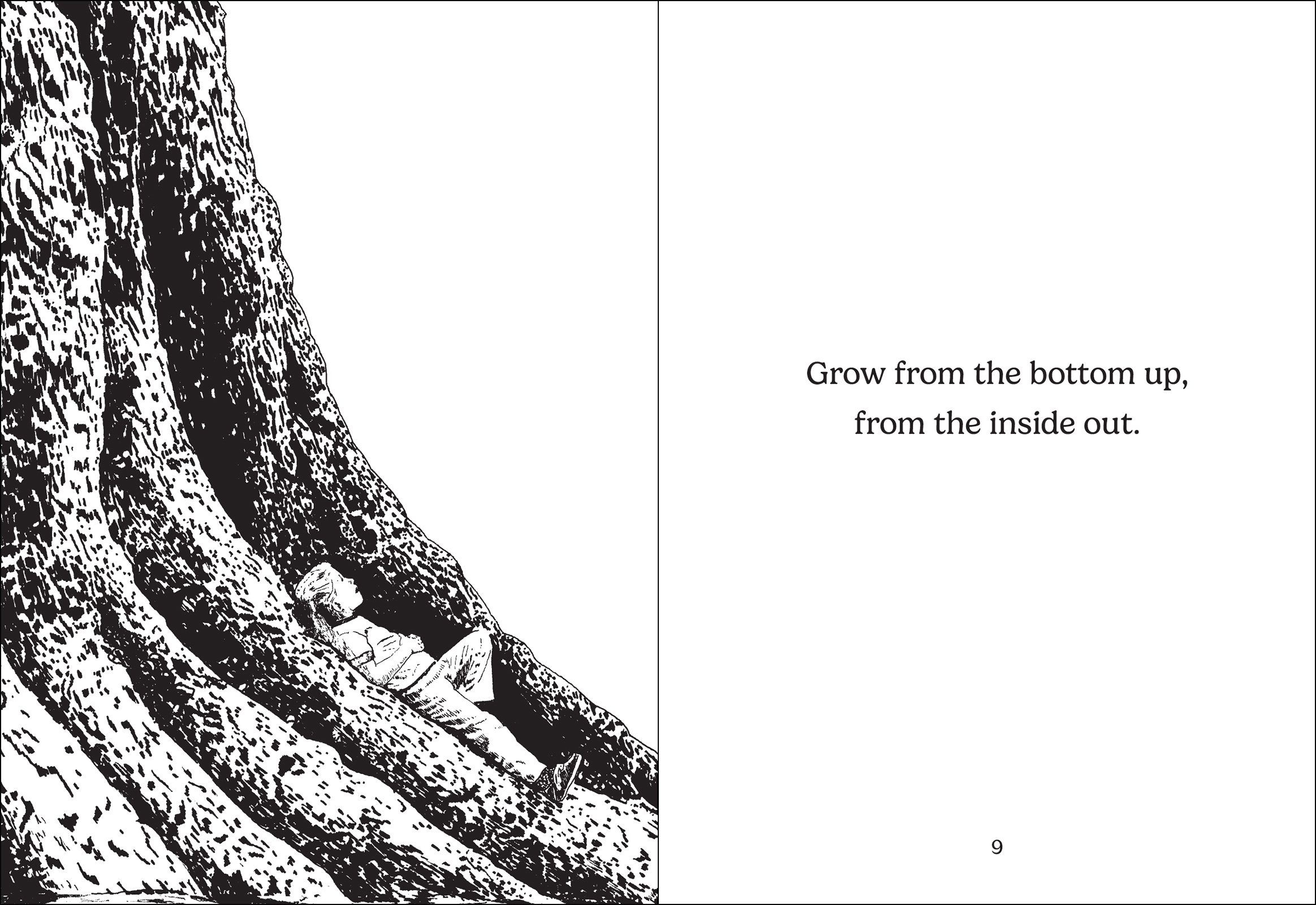 The Things Trees Know