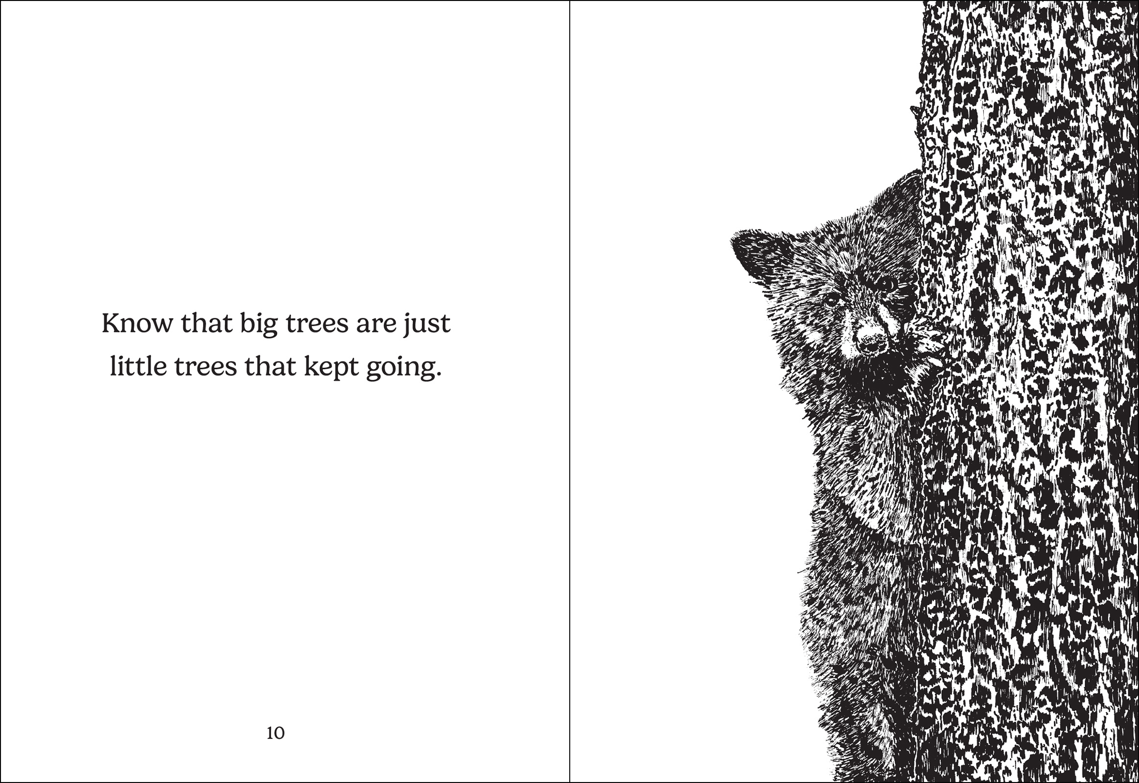 The Things Trees Know