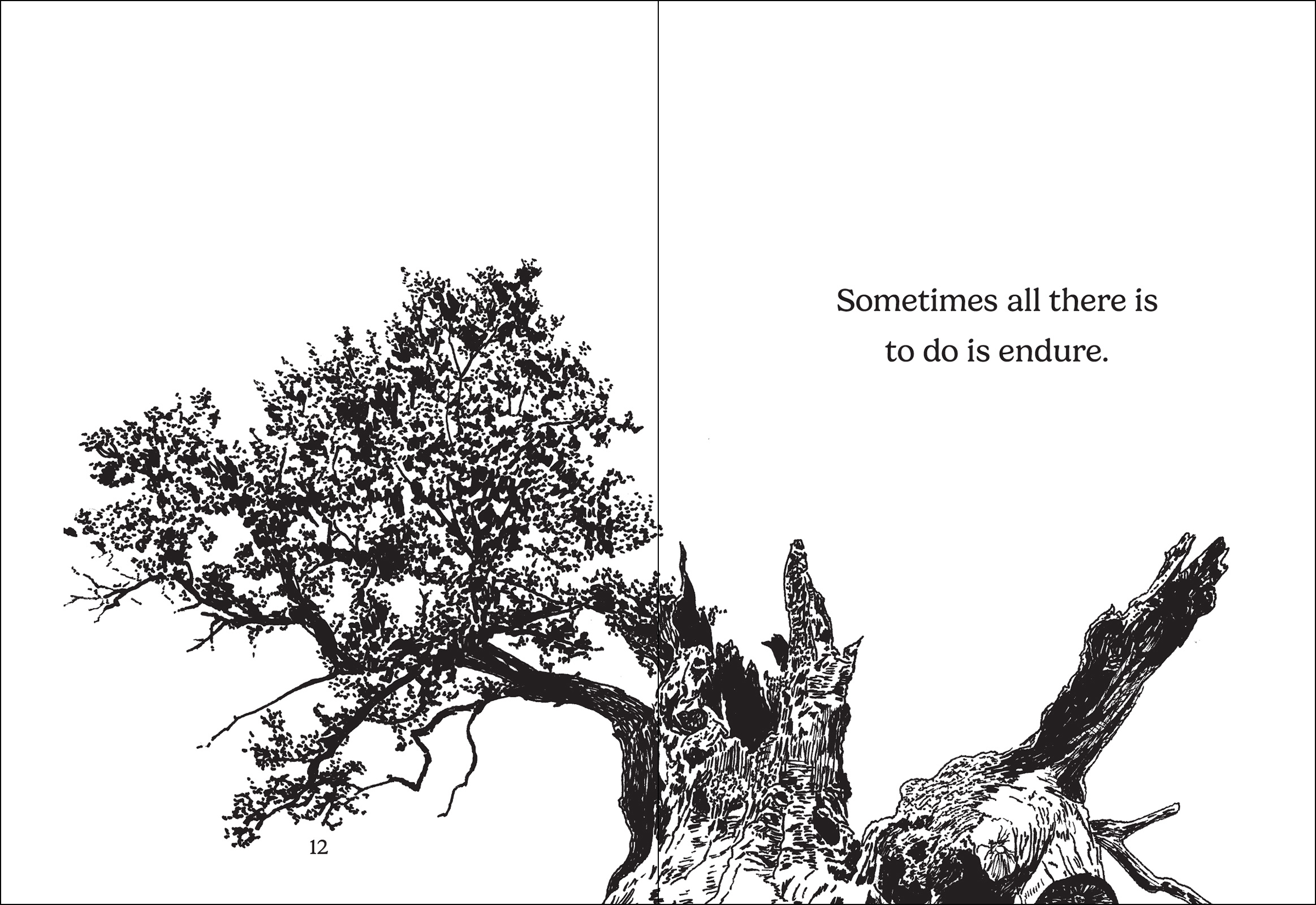 The Things Trees Know