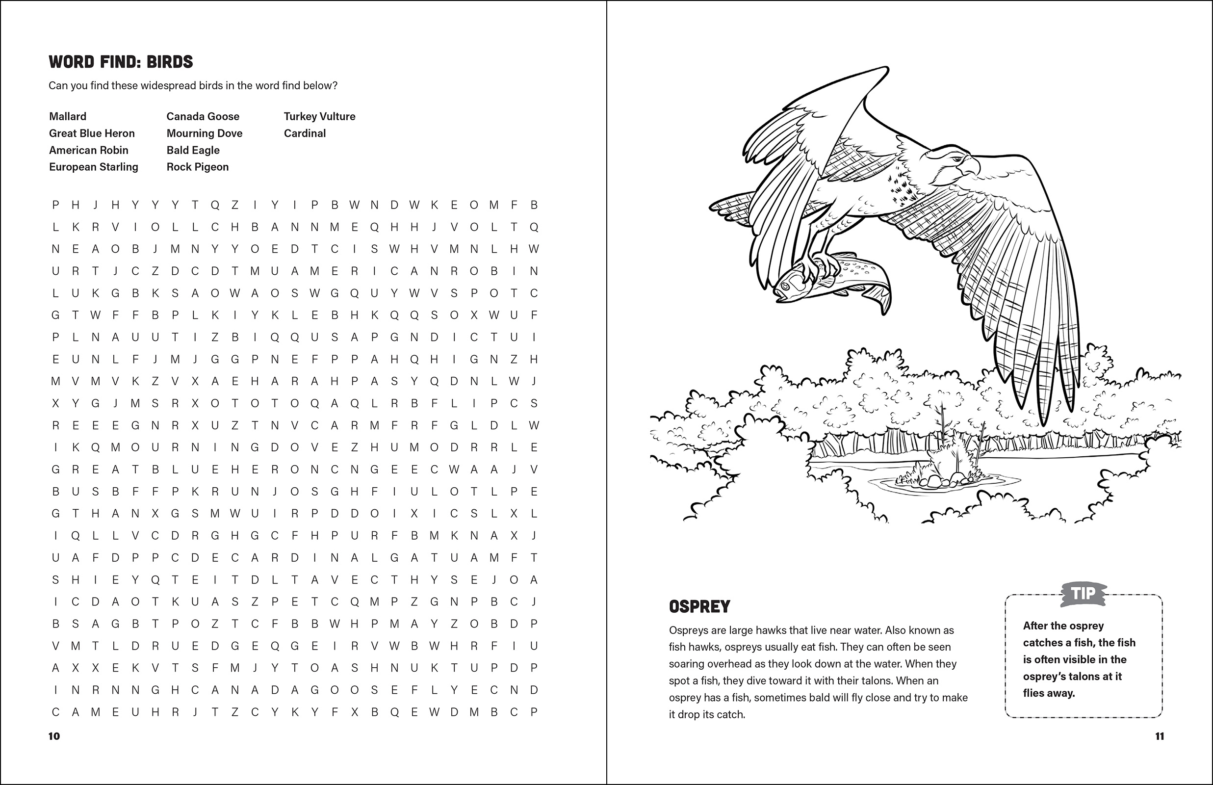 Fresh Air Family Activity Book