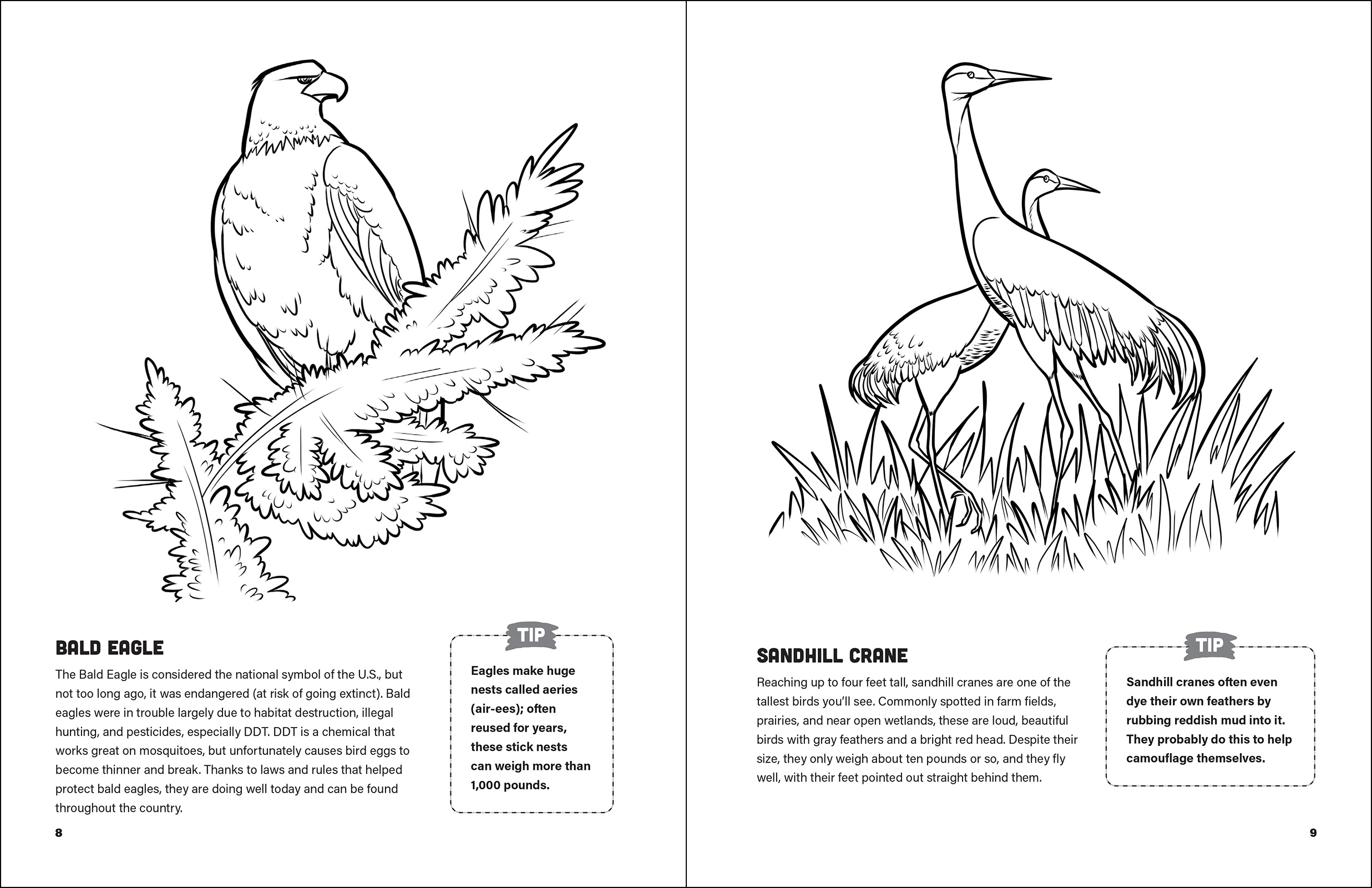 Fresh Air Family Activity Book