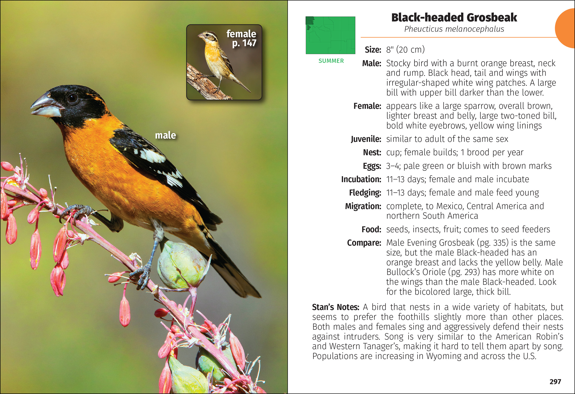 Birds of Wyoming Field Guide