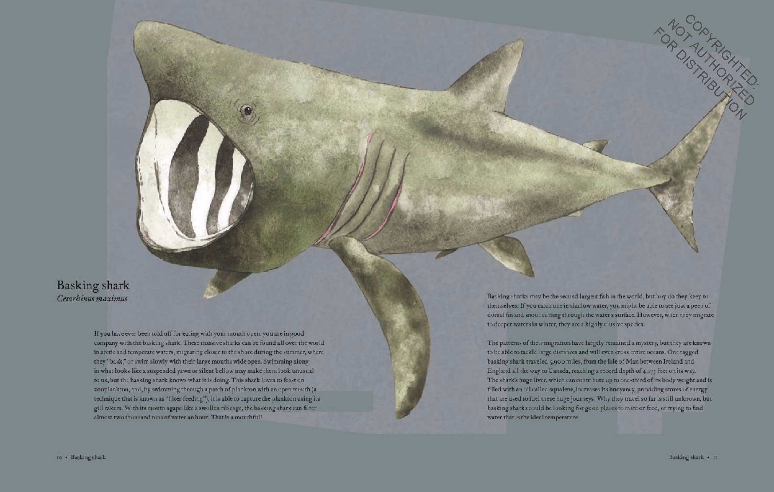 The Atlas of Migrating Plants and Animals