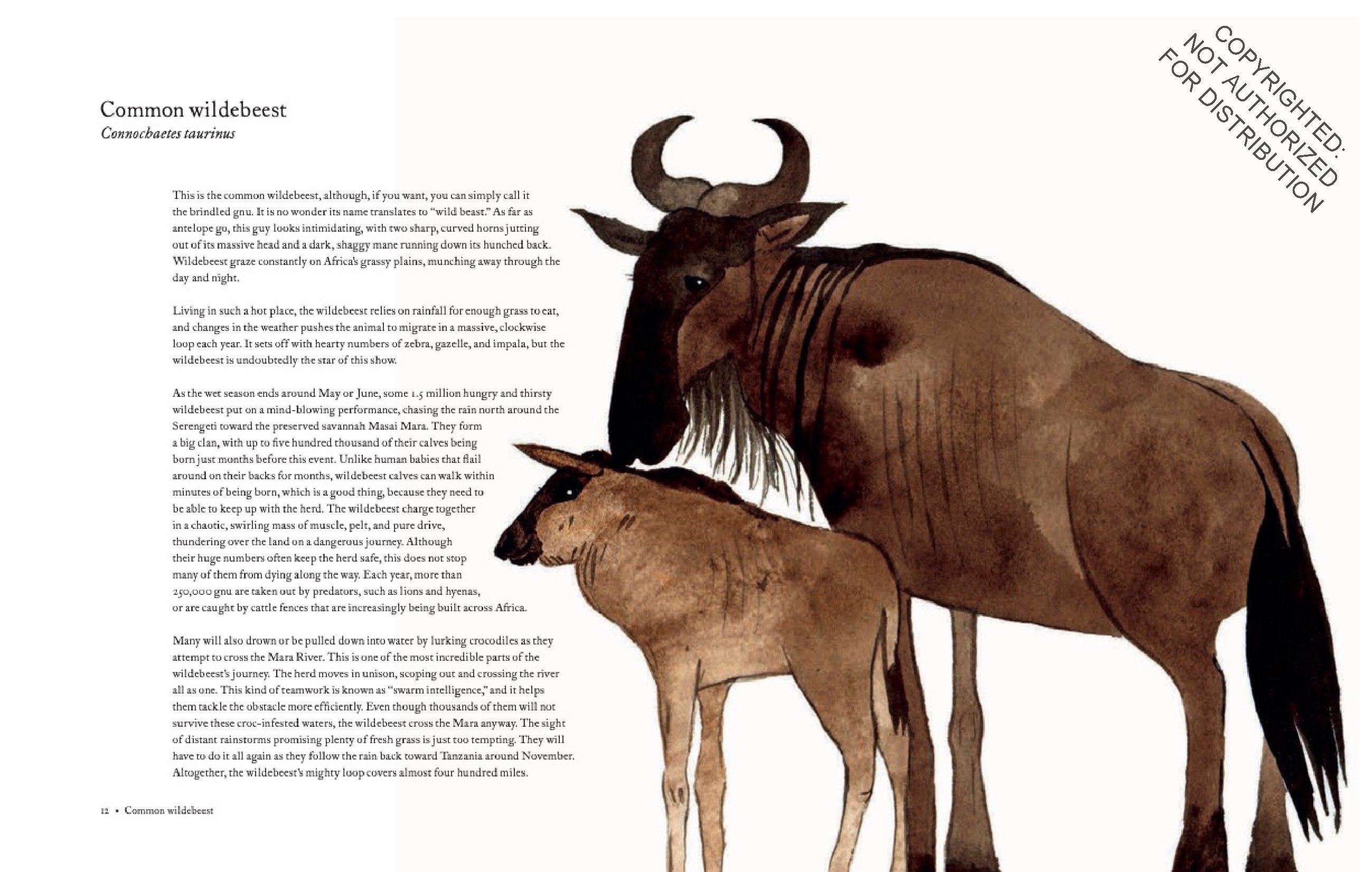 The Atlas of Migrating Plants and Animals