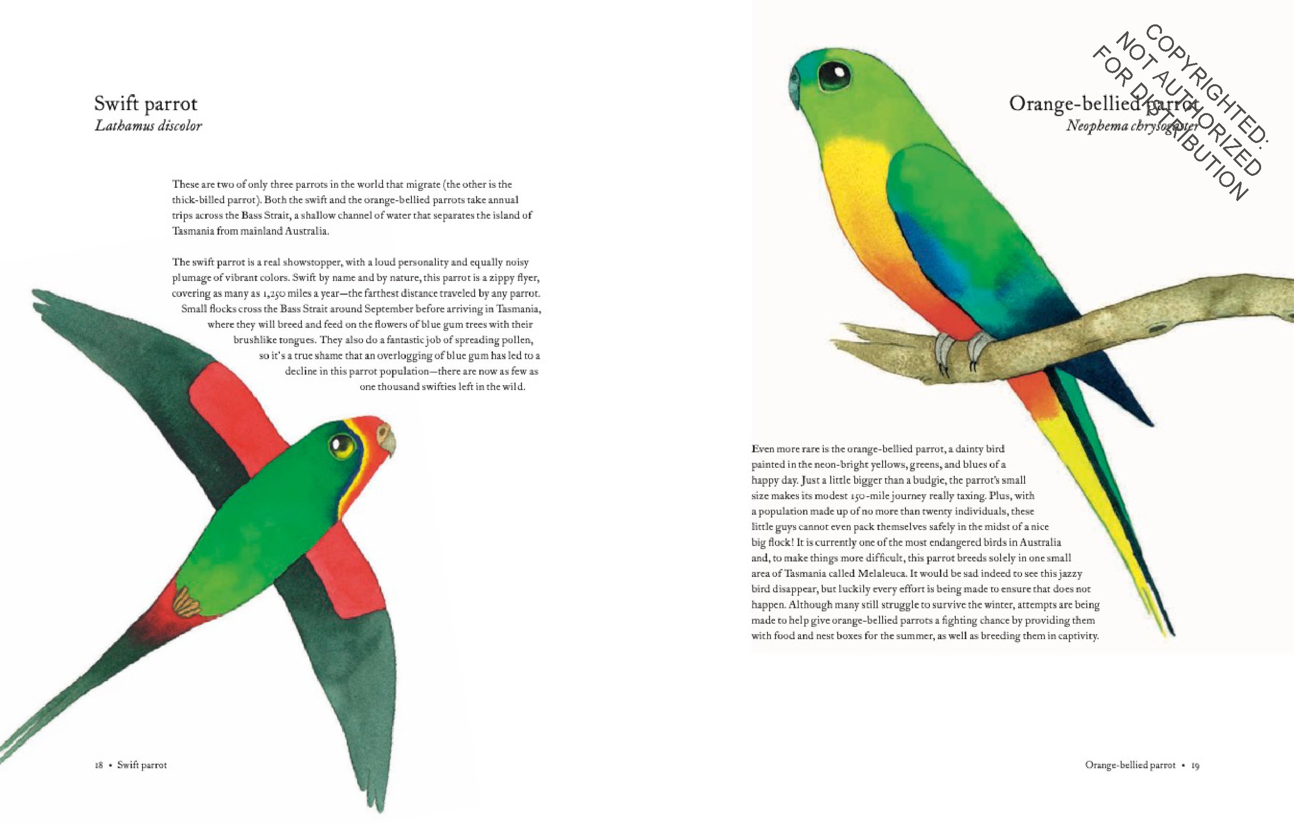 The Atlas of Migrating Plants and Animals