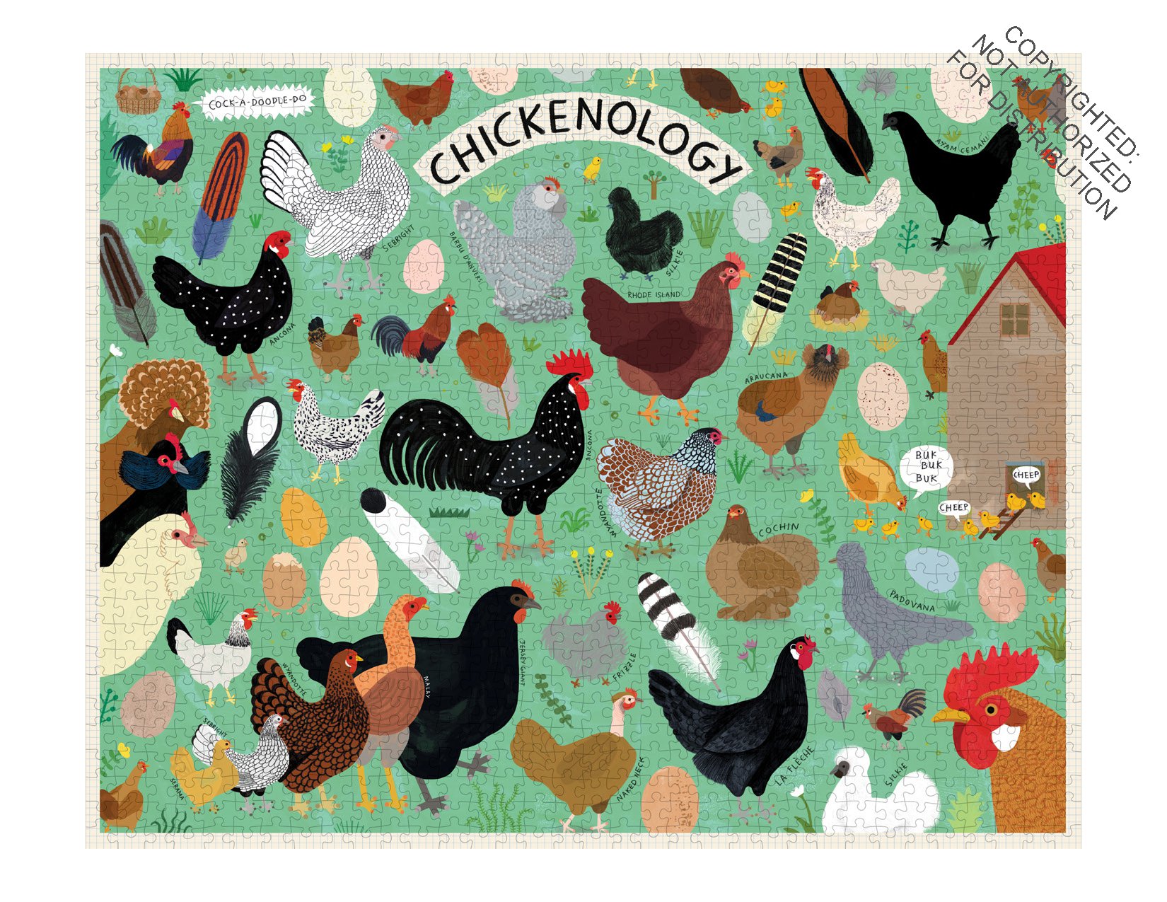 Chickenology 1000 Piece Puzzle