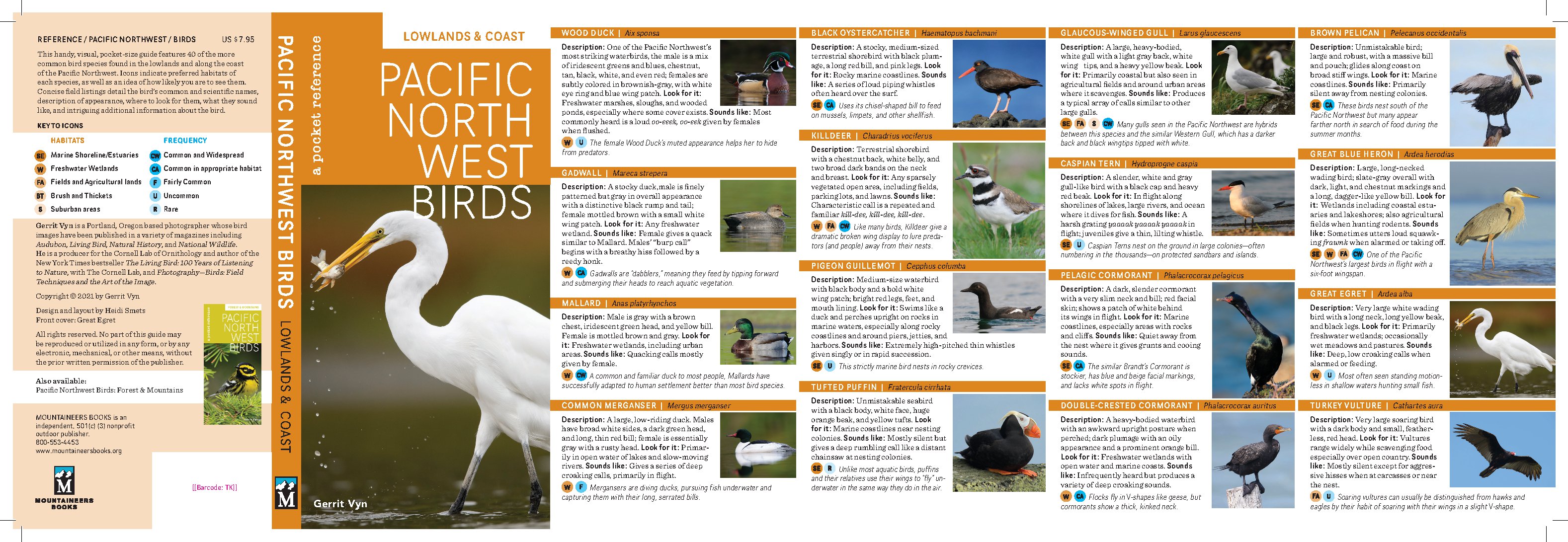 Pacific Northwest Birds: Lowlands & Coast