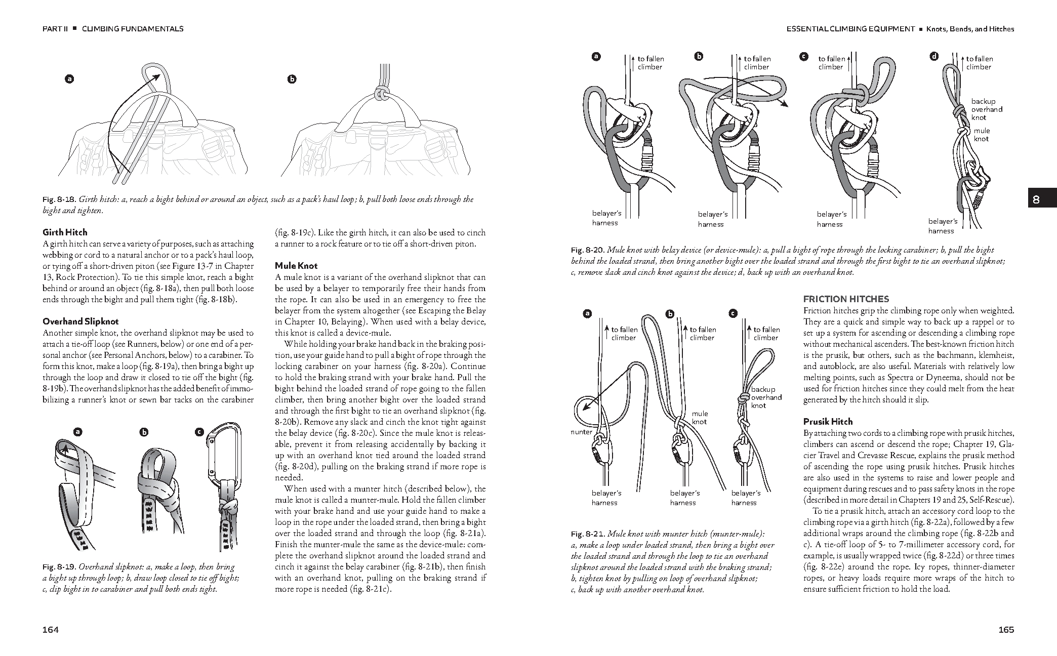 Mountaineering: The Freedom of the Hills