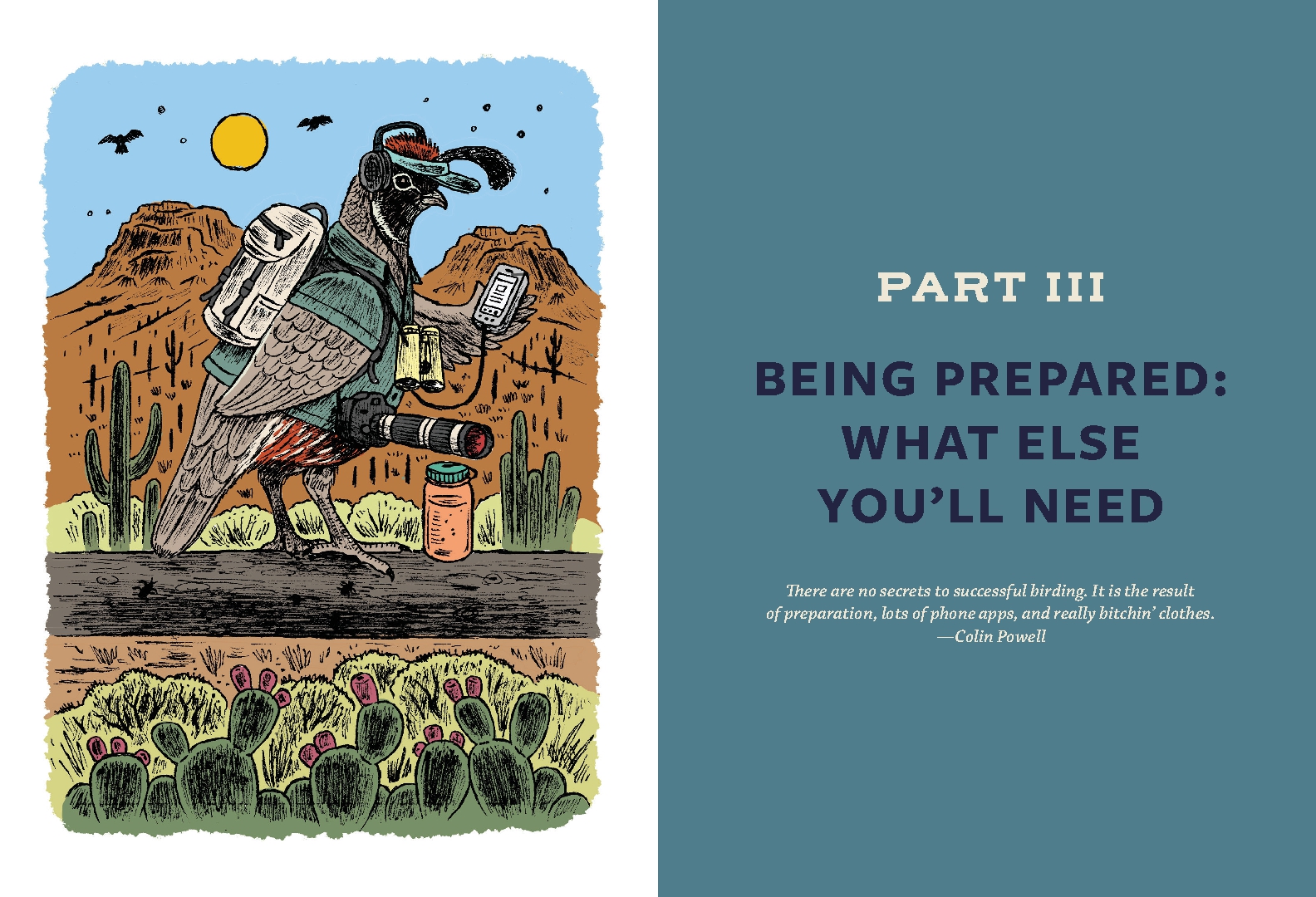 Birding for Boomers