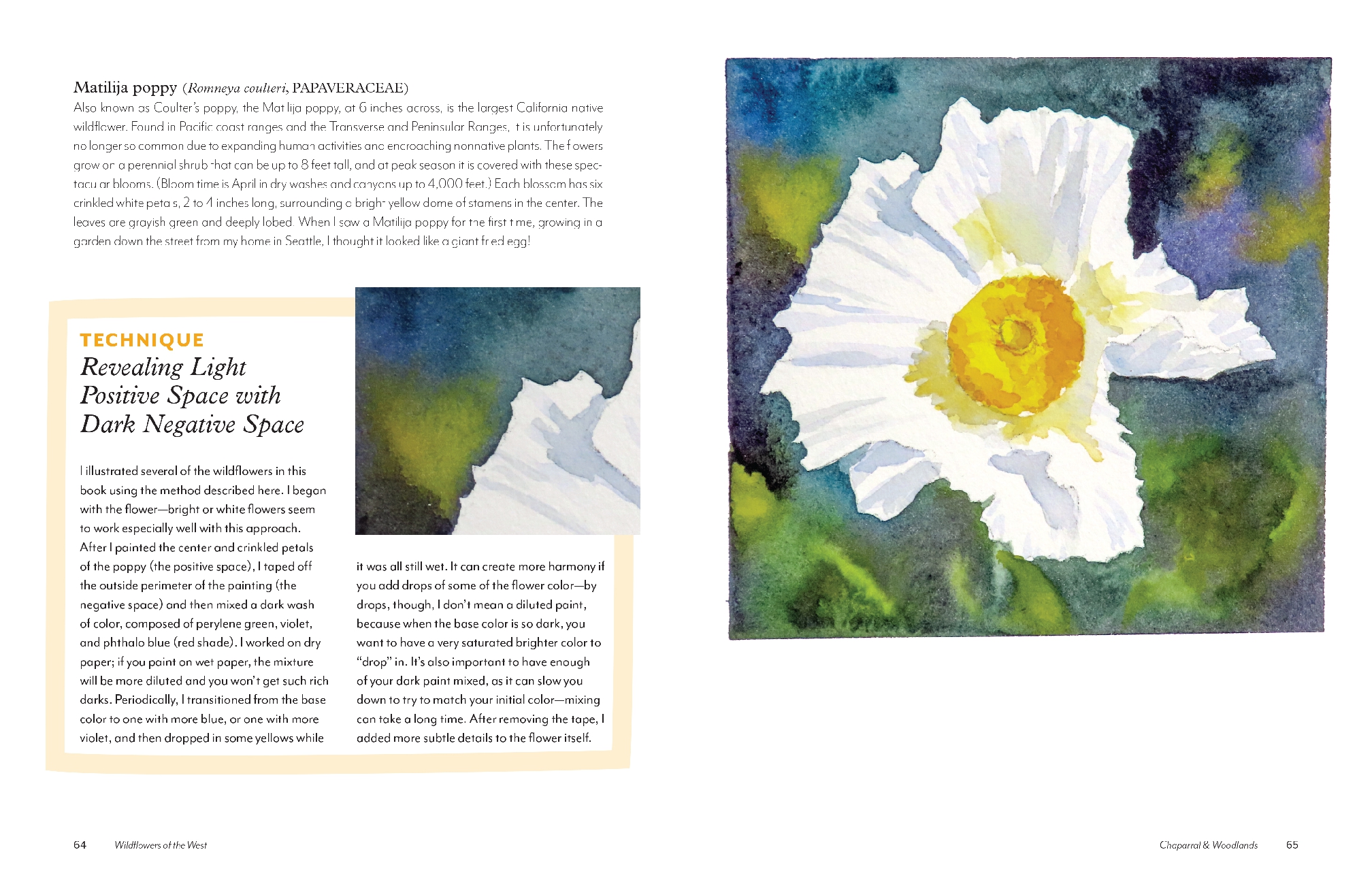 Wildflowers of the West