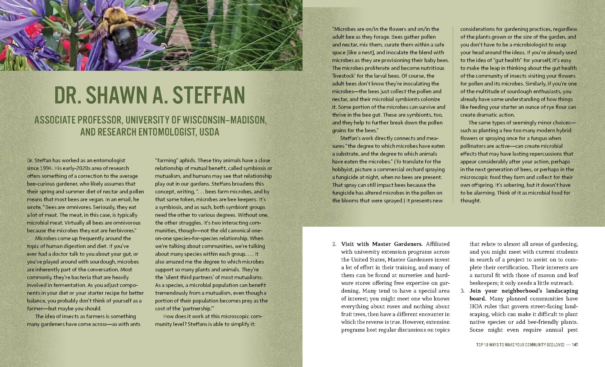 Mason Bee Revolution, 2nd Edition