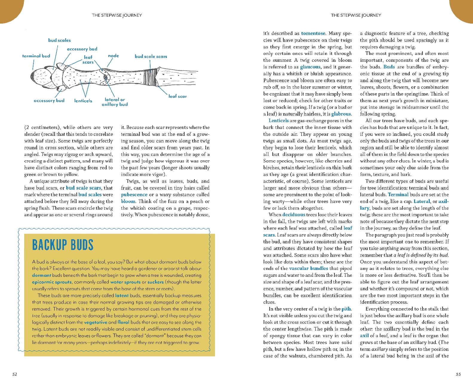 The Trees Around You