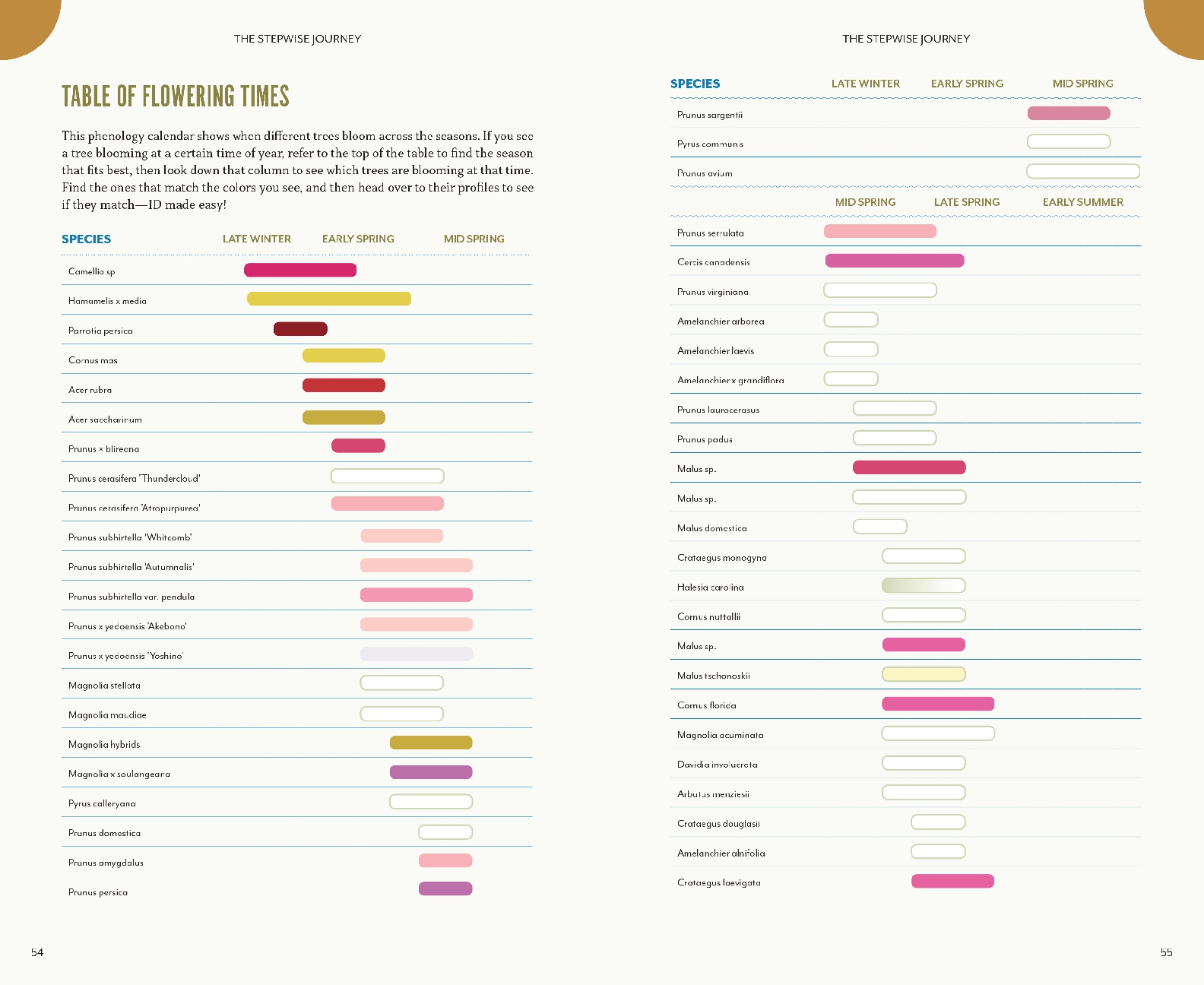 The Trees Around You