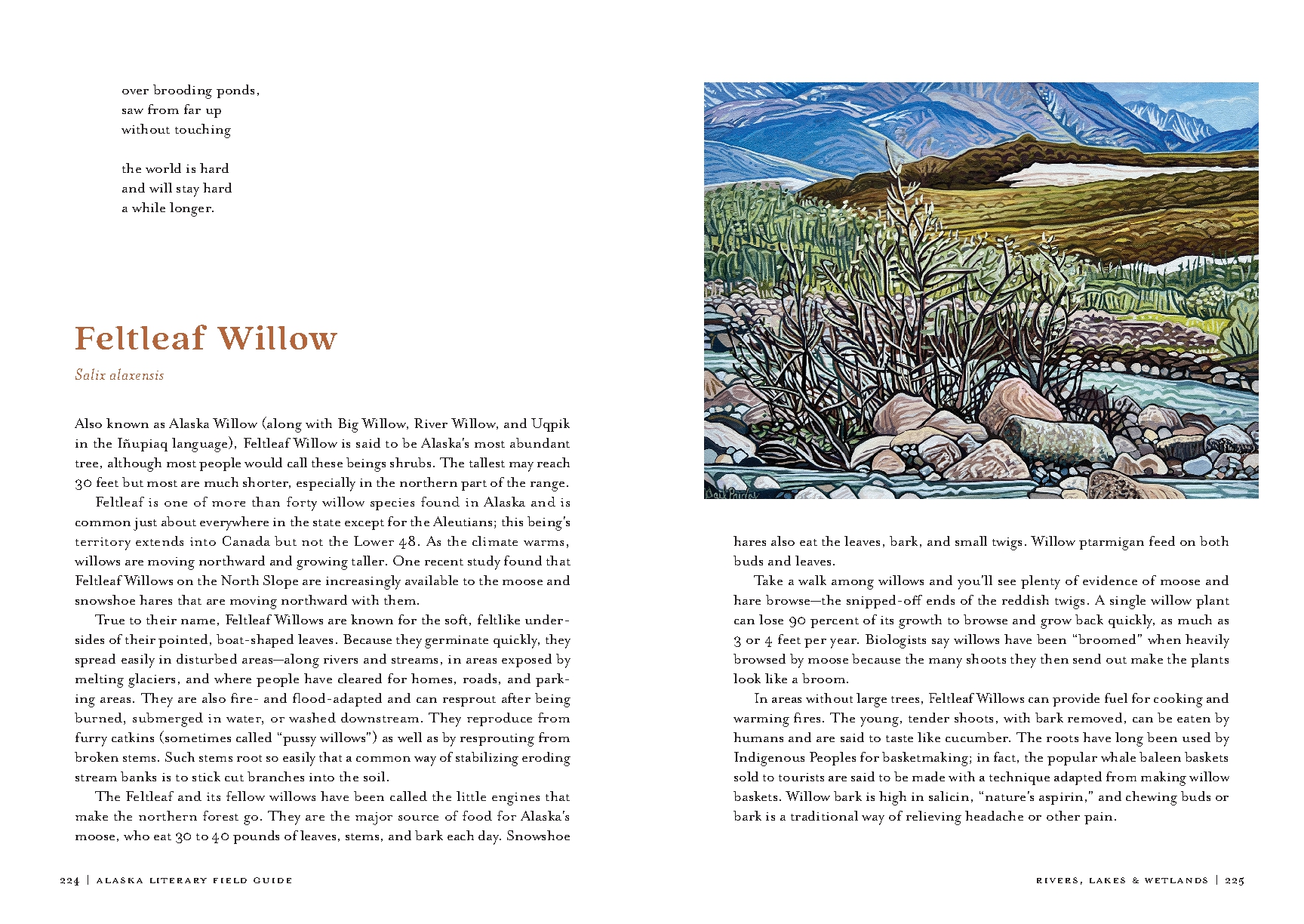 Alaska Literary Field Guide