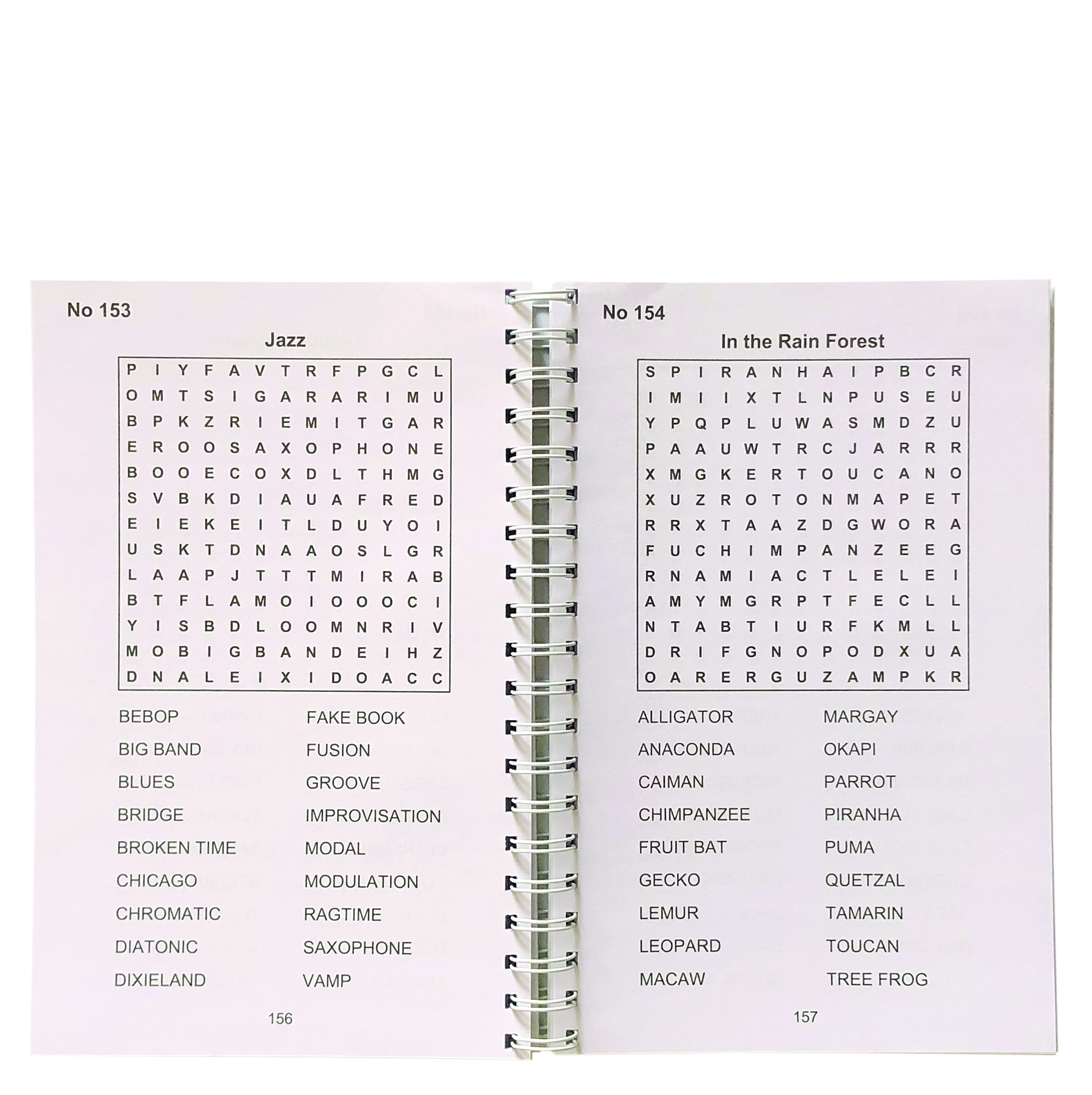 Large Print Word Search Puzzles Teal