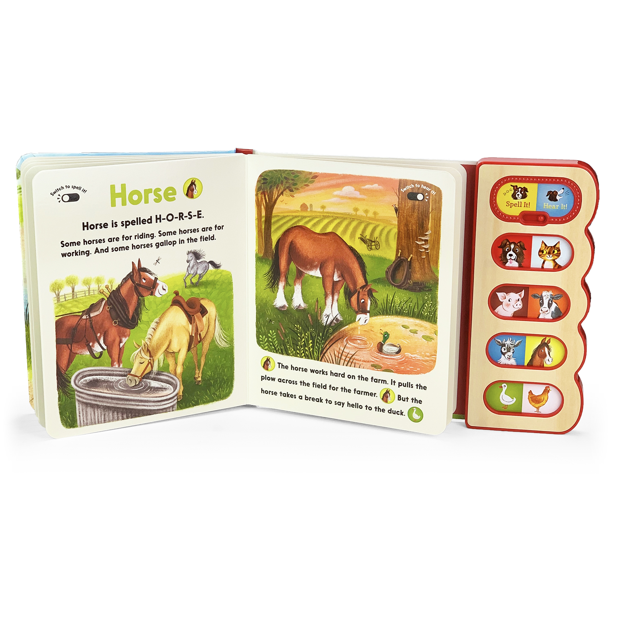 Farm Animals