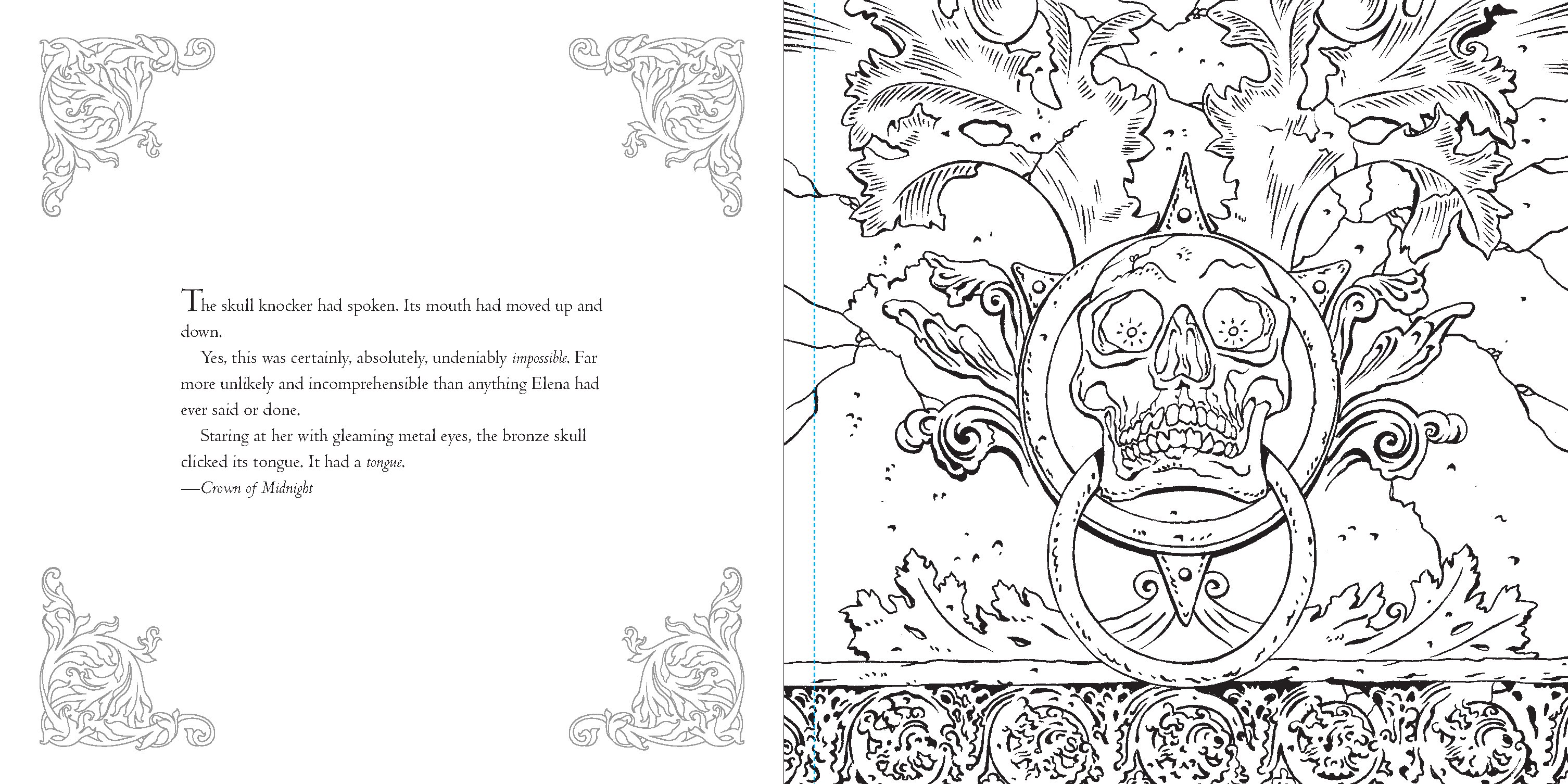 The Throne of Glass Coloring Book