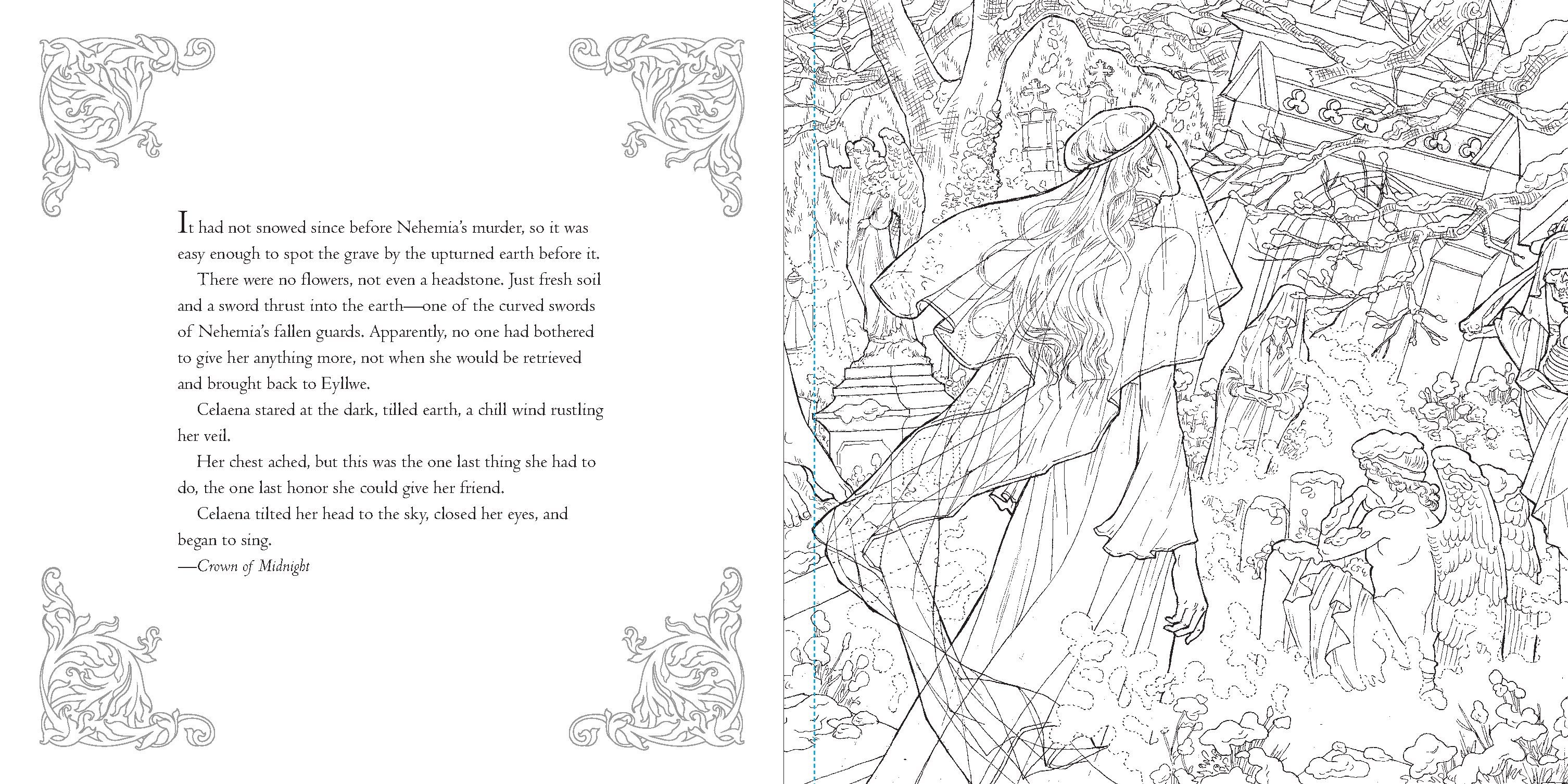 The Throne of Glass Coloring Book