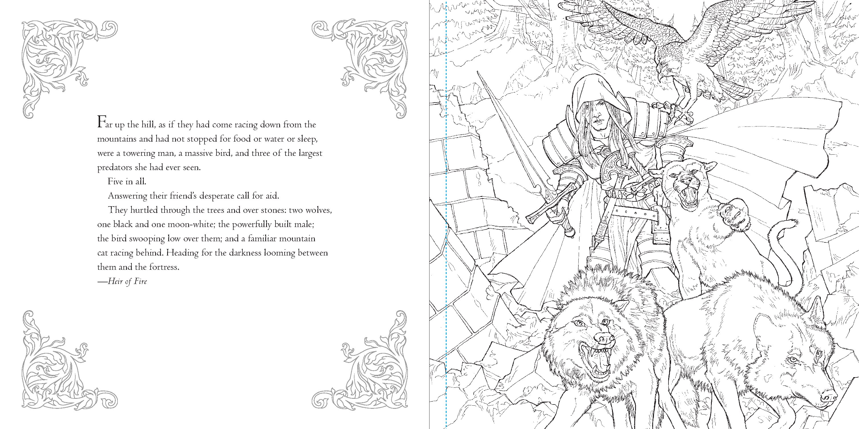 The Throne of Glass Coloring Book