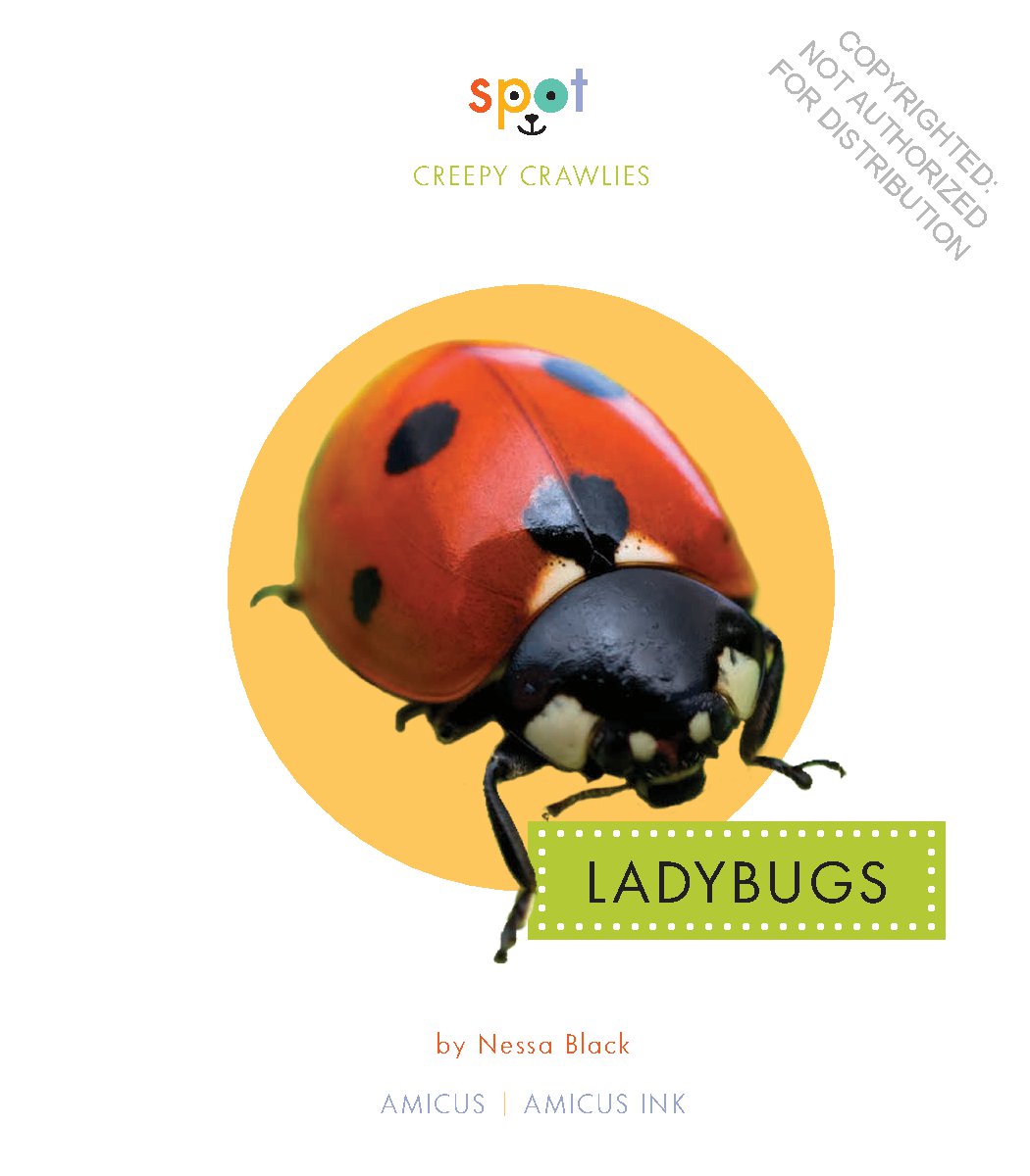 Ladybugs
