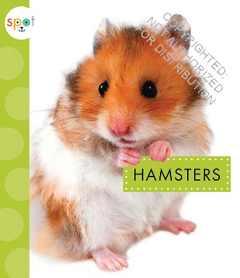 Hamsters