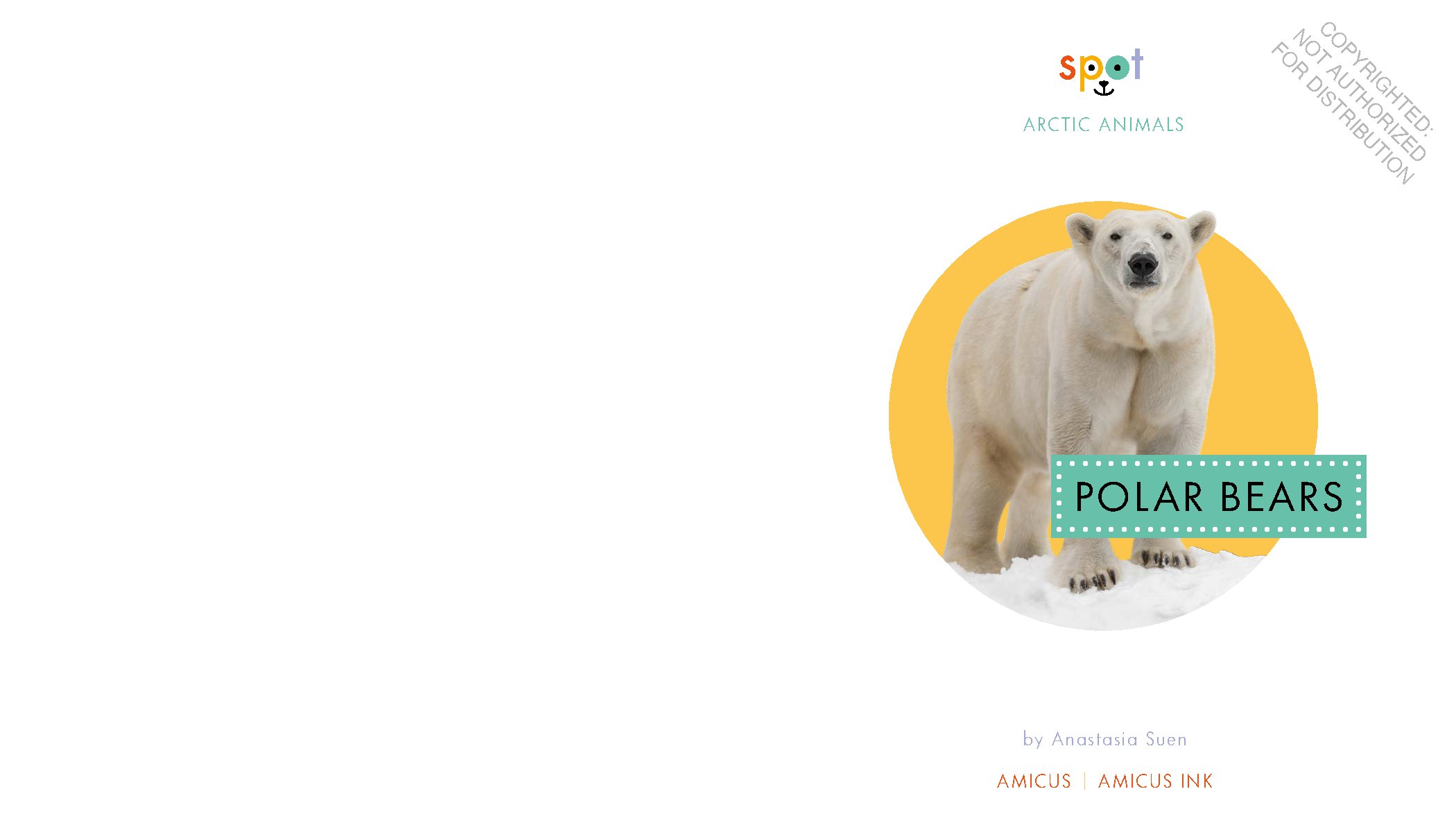 Polar Bears