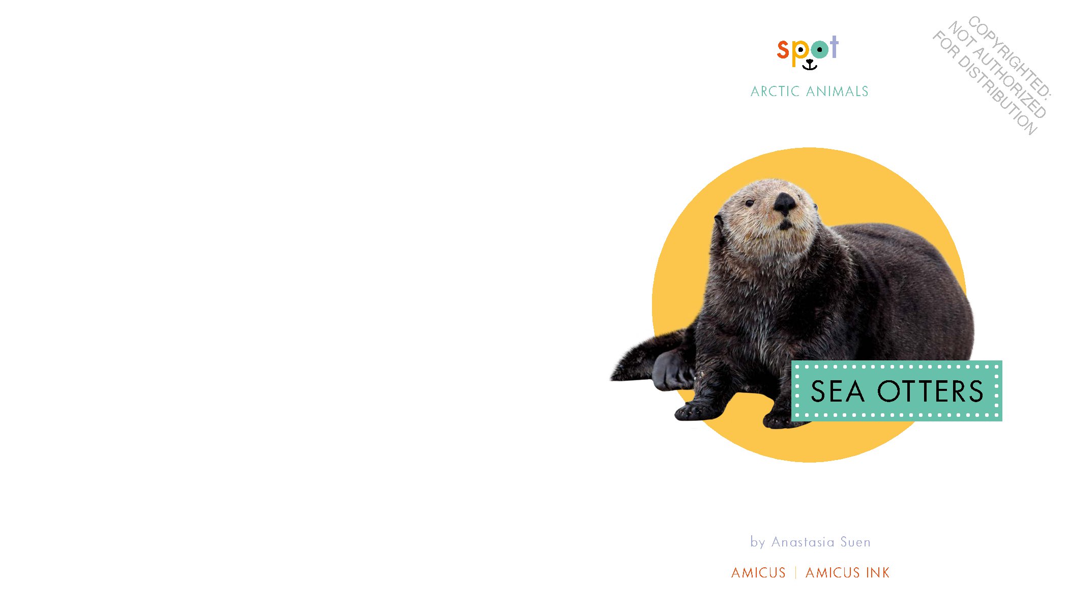 Sea Otters