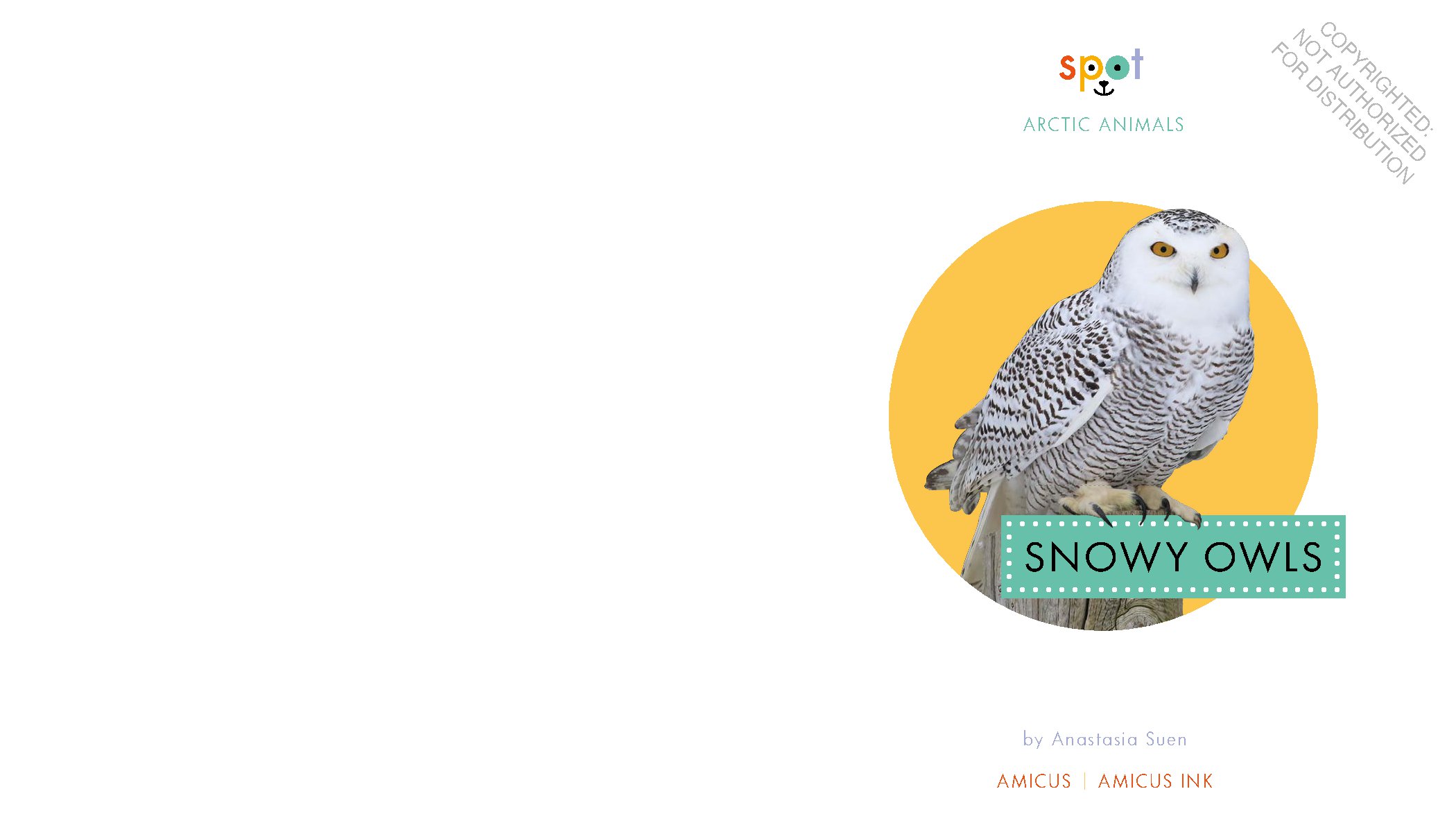 Snowy Owls