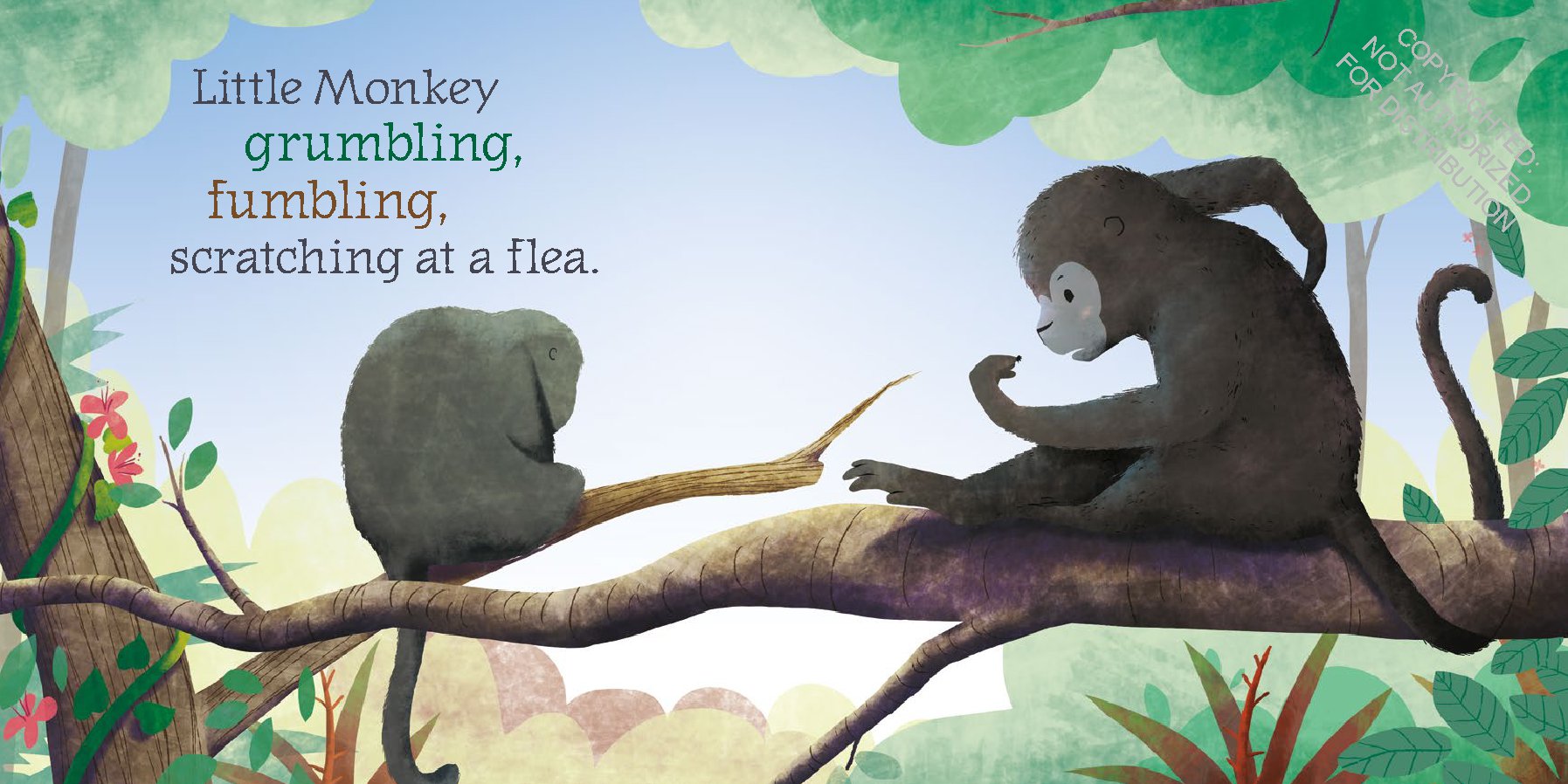 Little Monkey