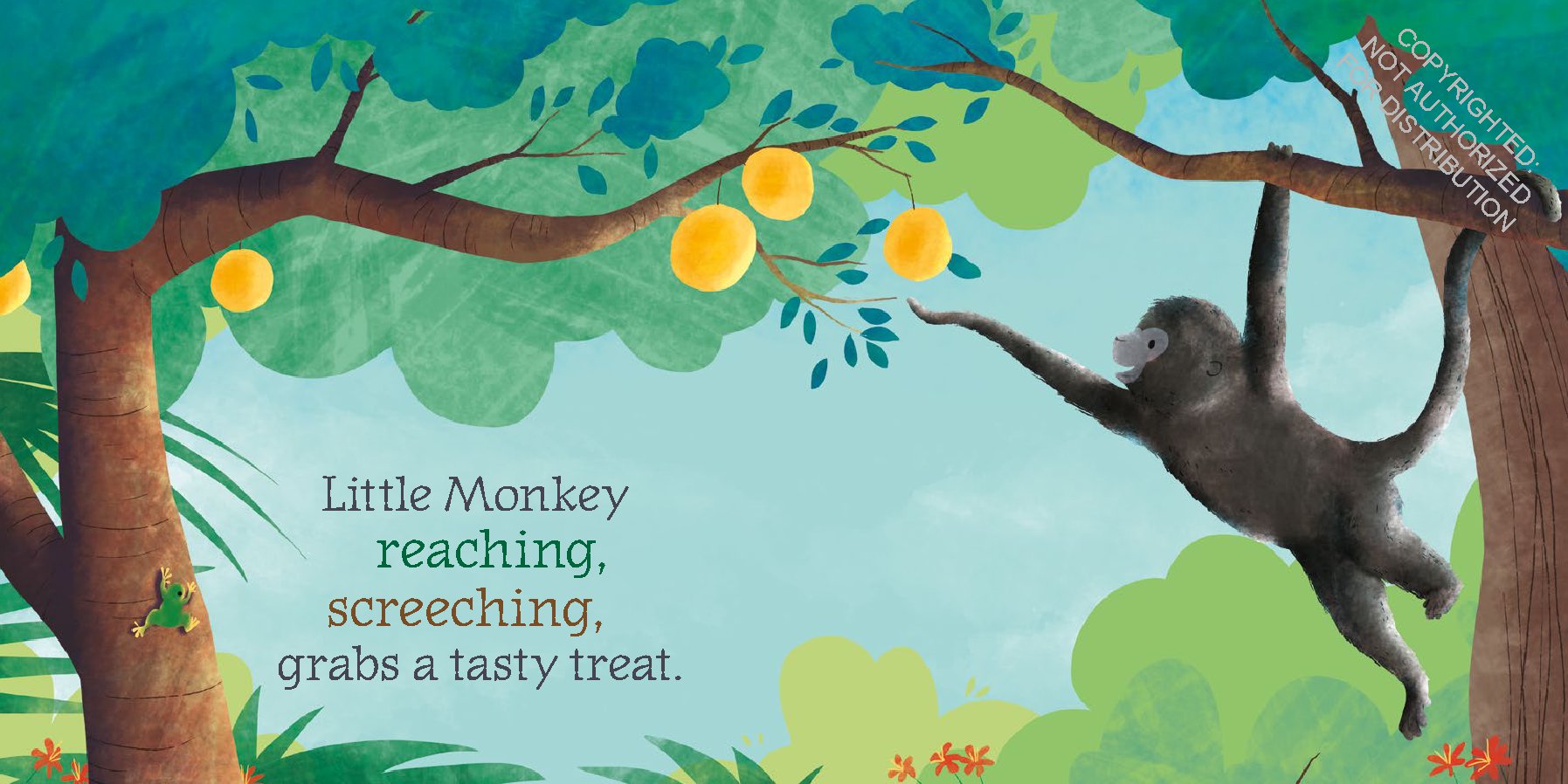 Little Monkey