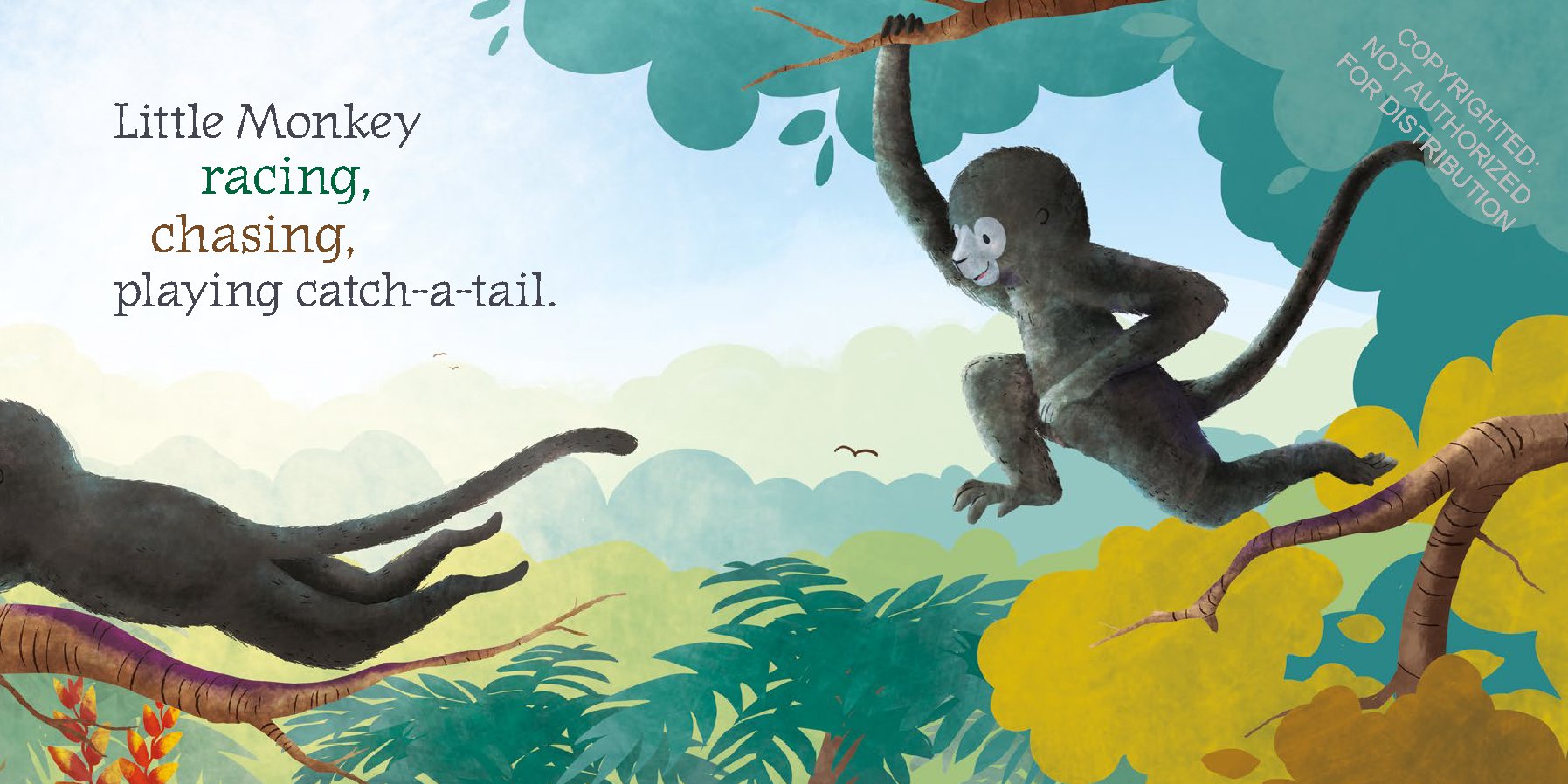 Little Monkey