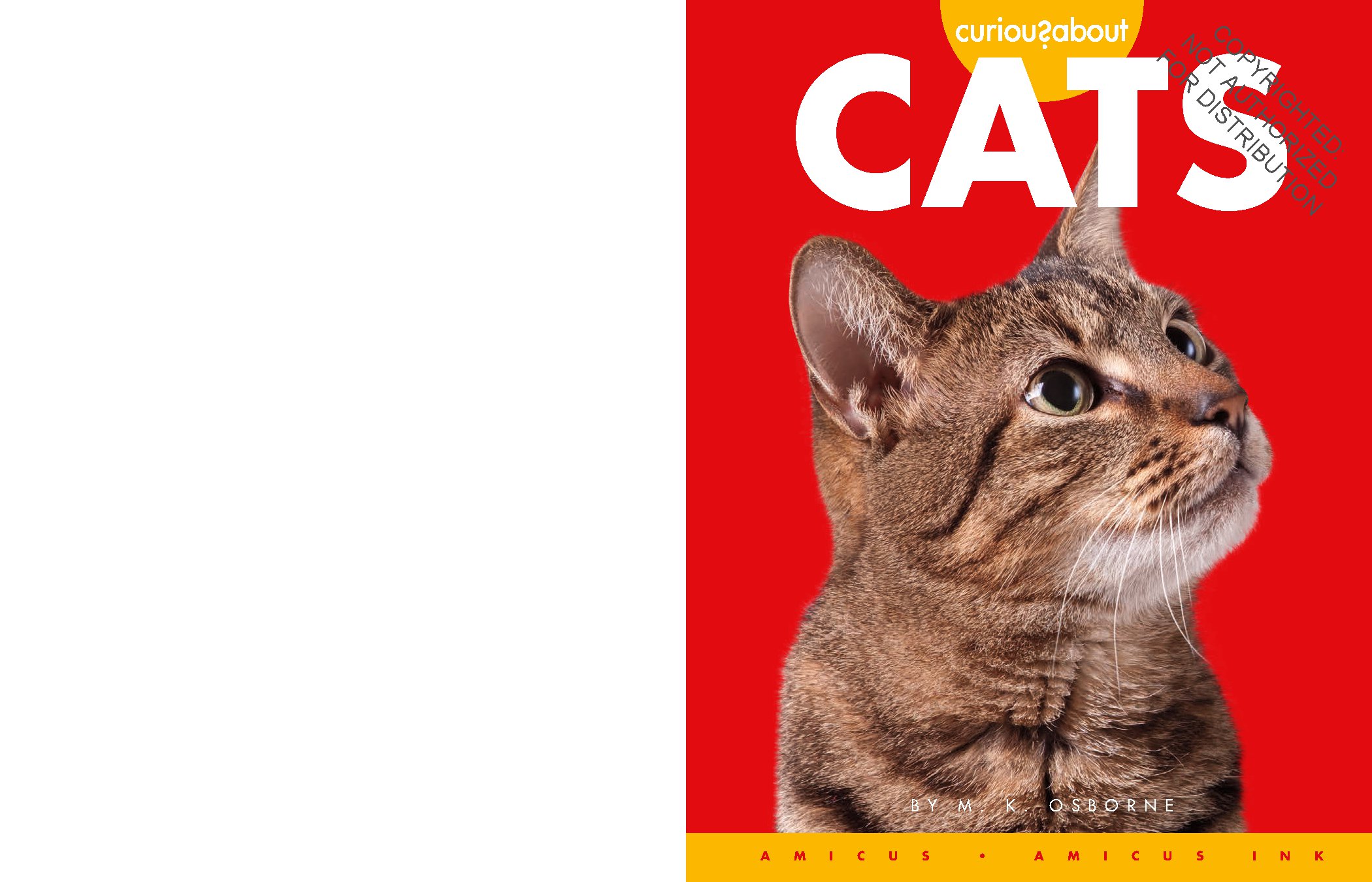 Curious about Cats