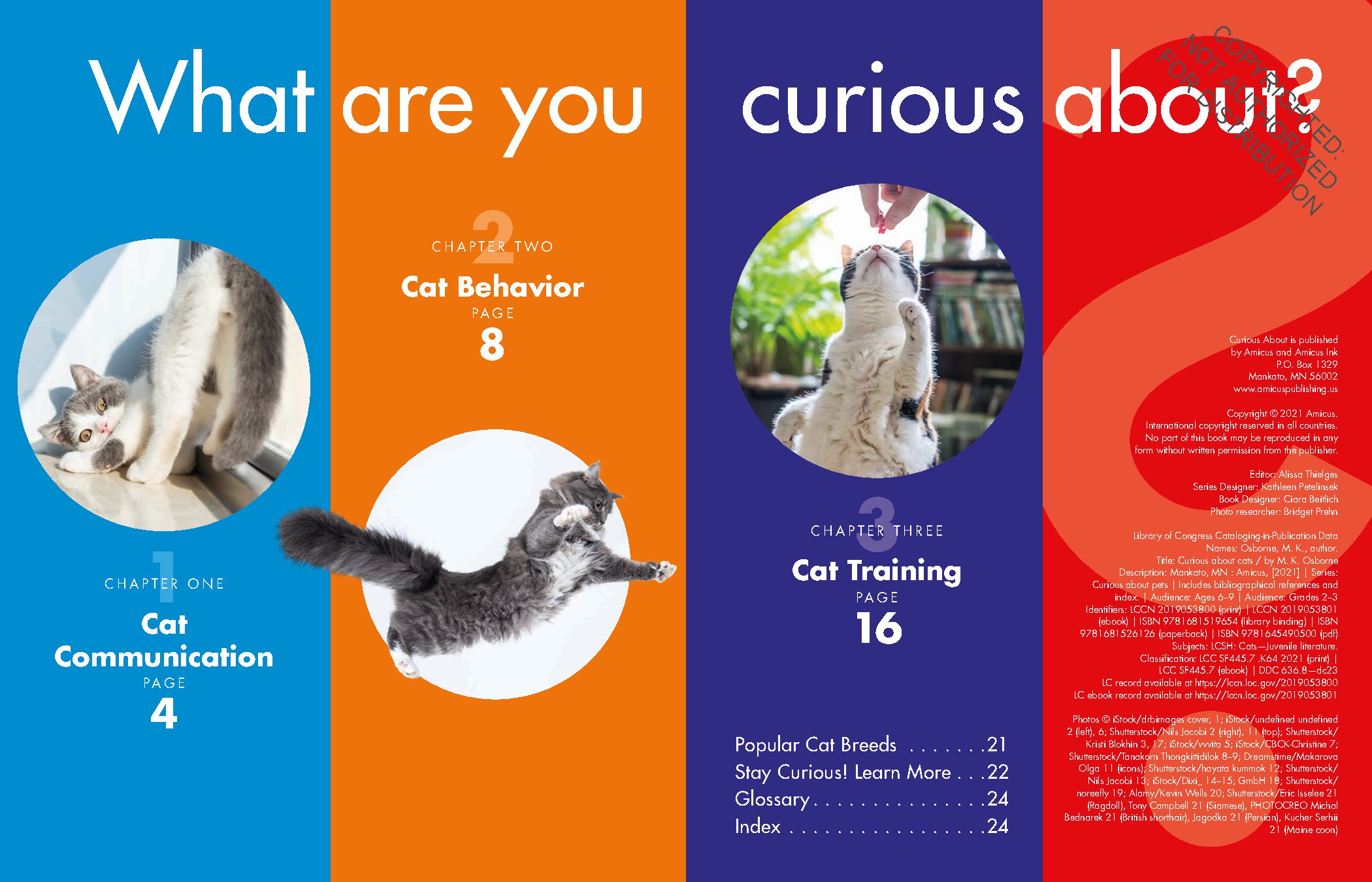 Curious about Cats