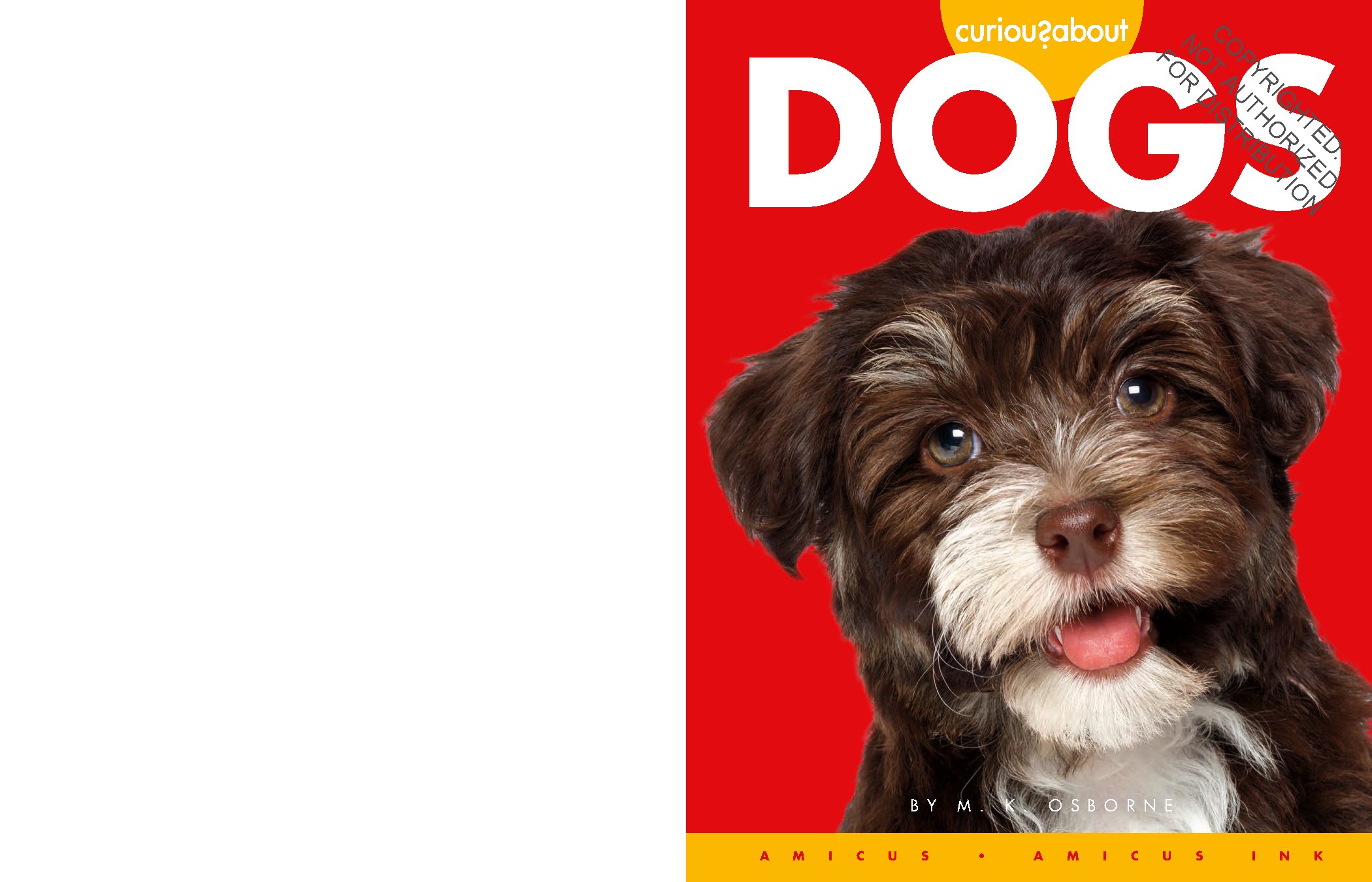Curious about Dogs