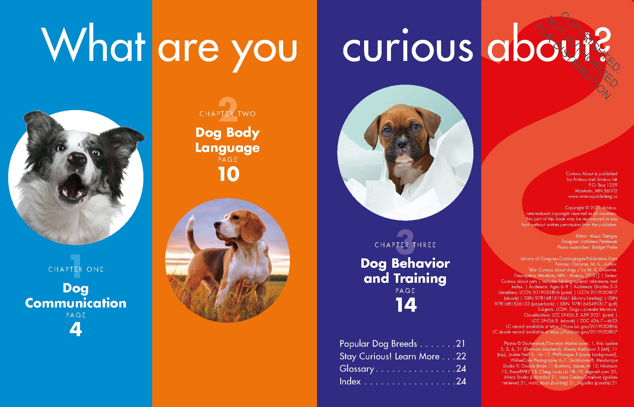 Curious about Dogs