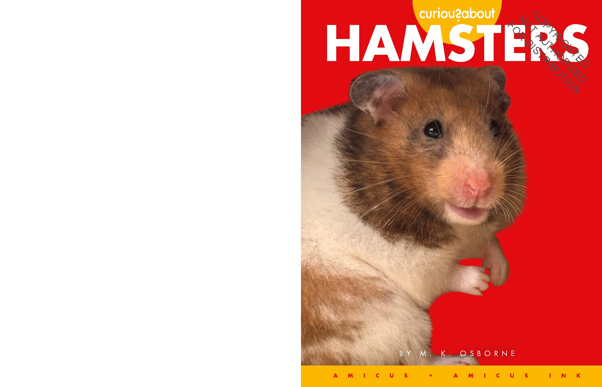 Curious about Hamsters