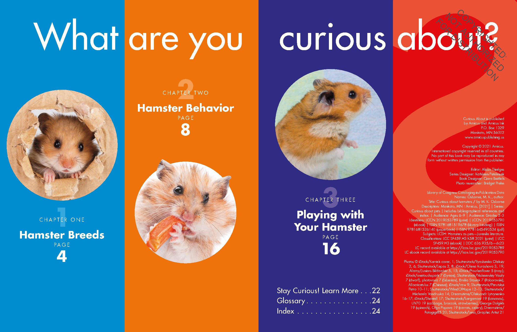 Curious about Hamsters