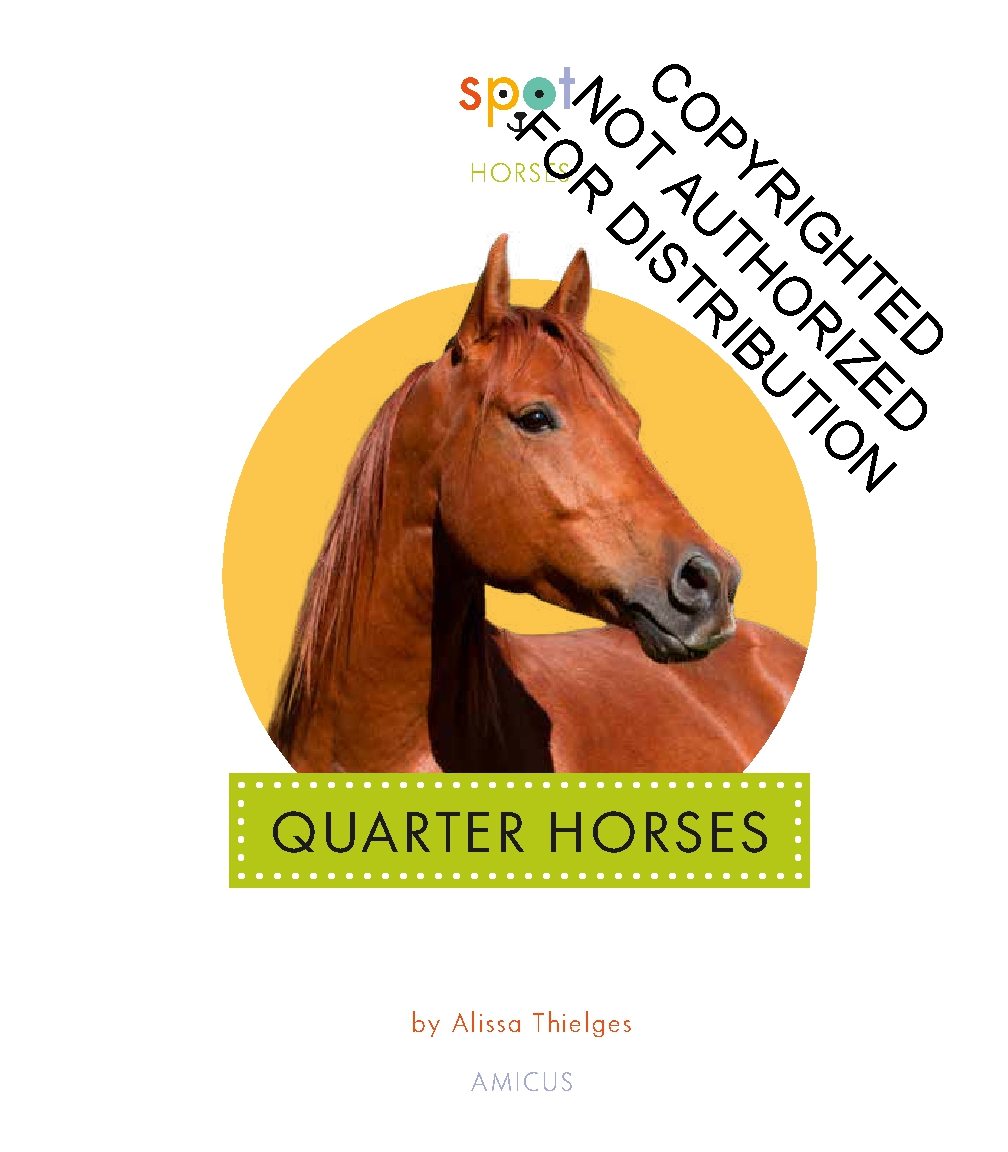 Quarter Horses
