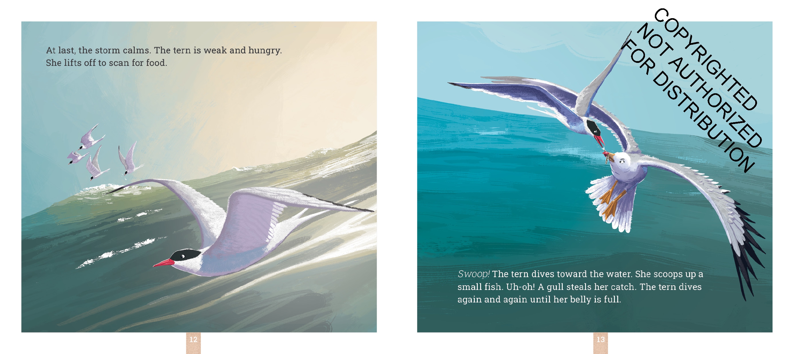 Arctic Terns