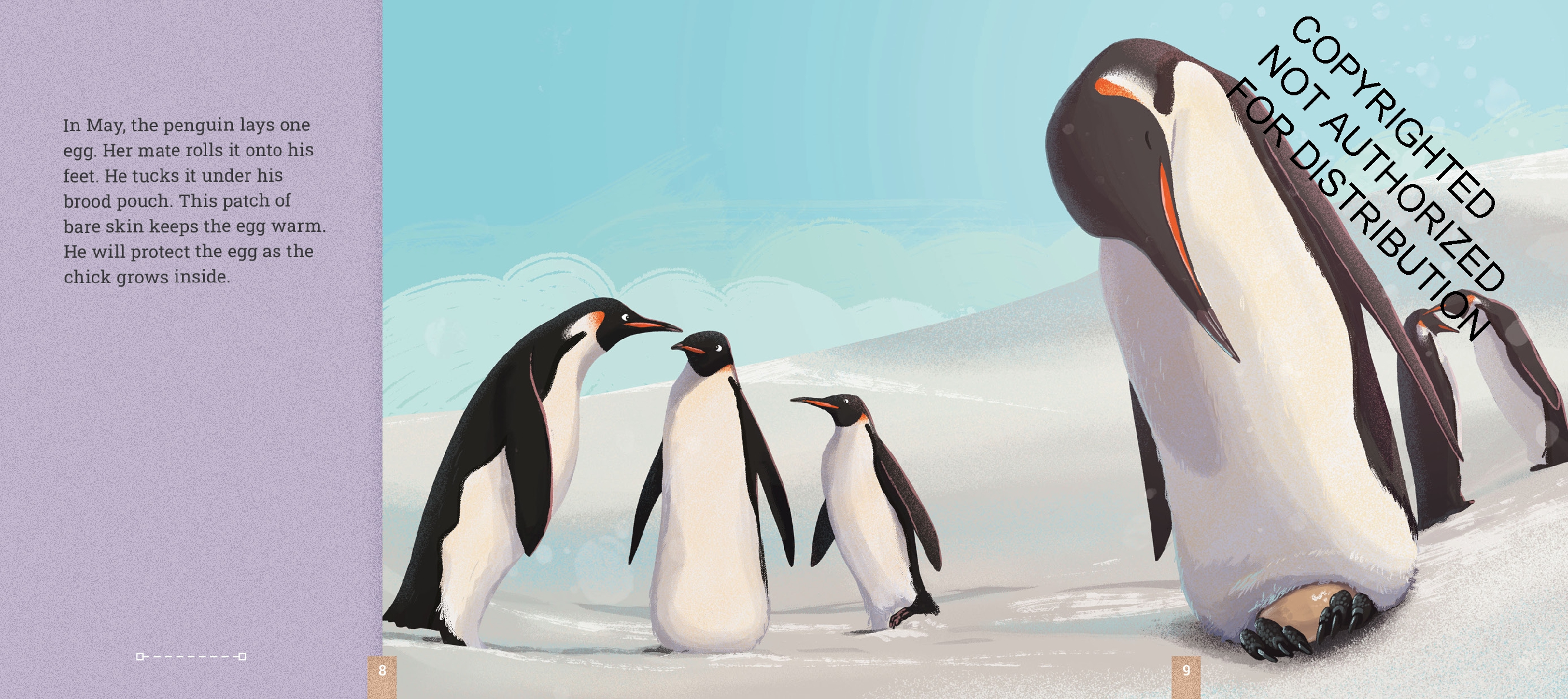 Emperor Penguins
