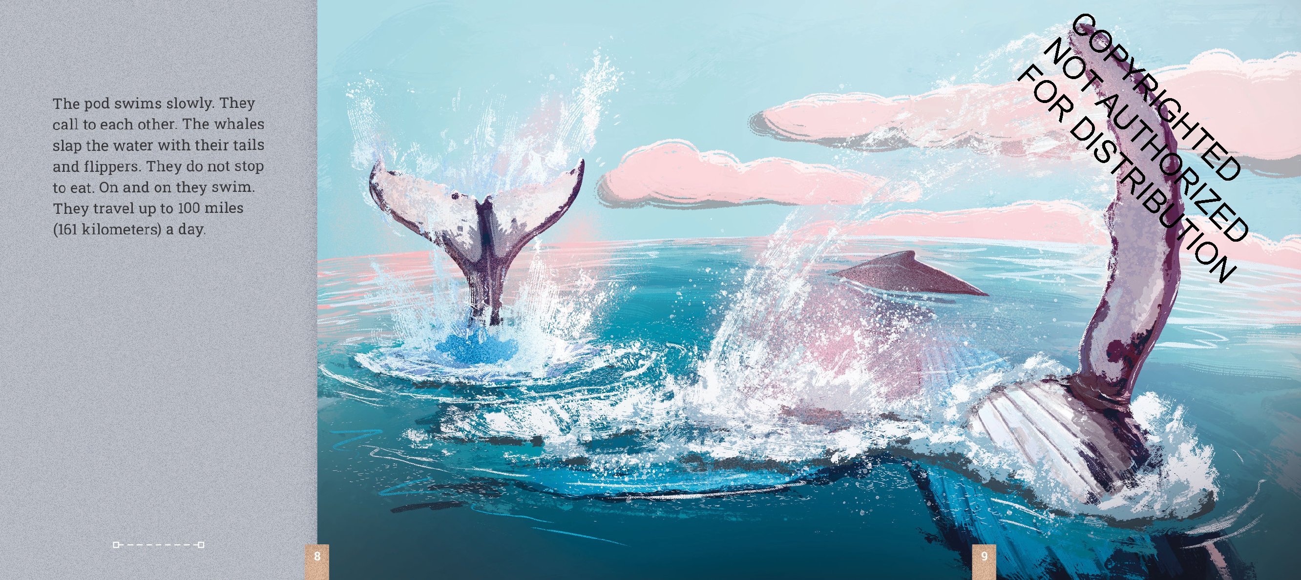 Humpback Whales