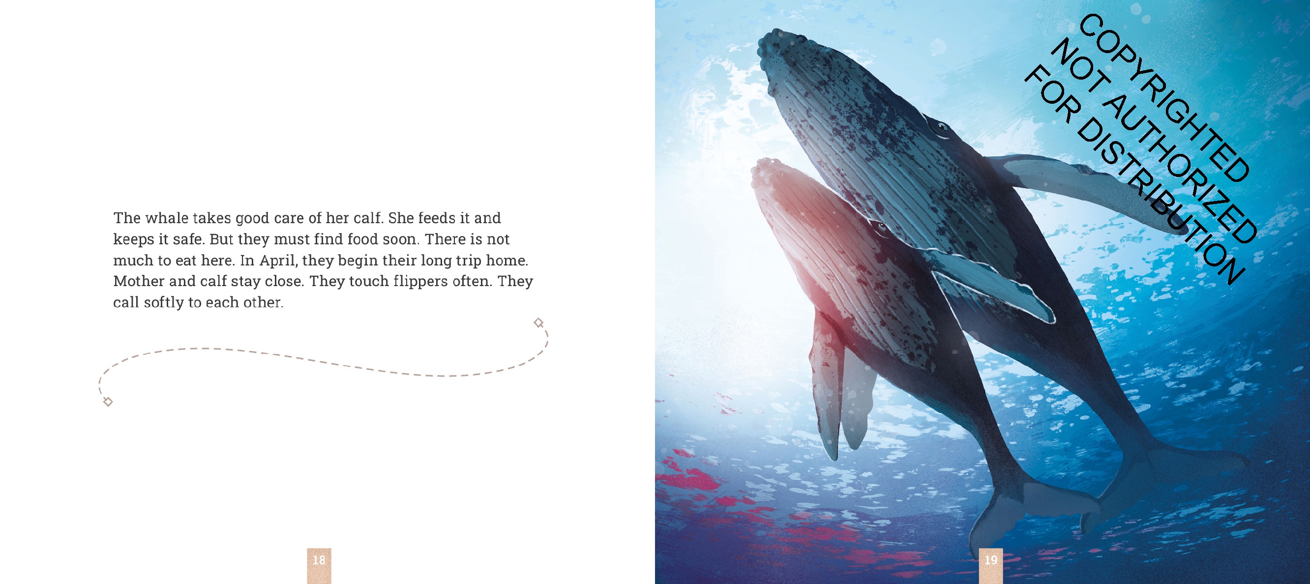 Humpback Whales