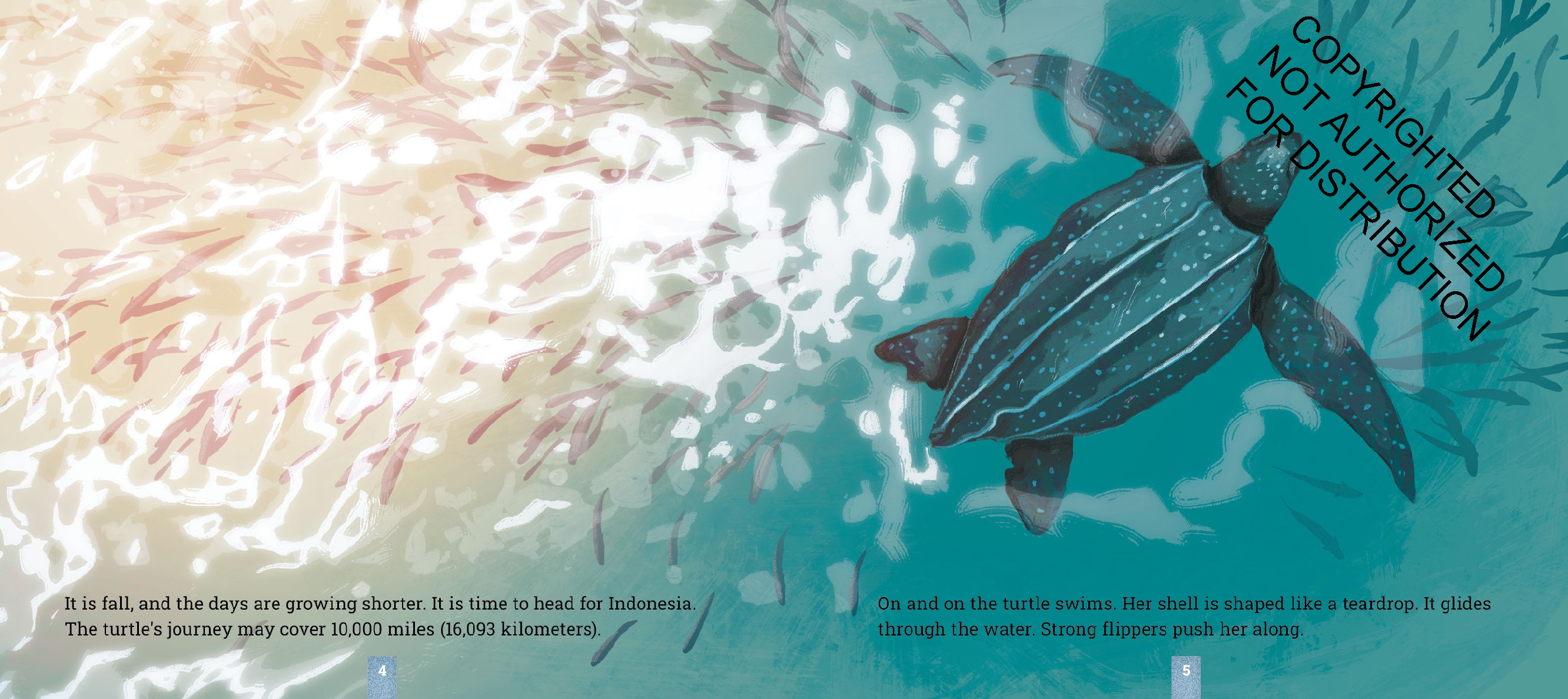 Leatherback Sea Turtles