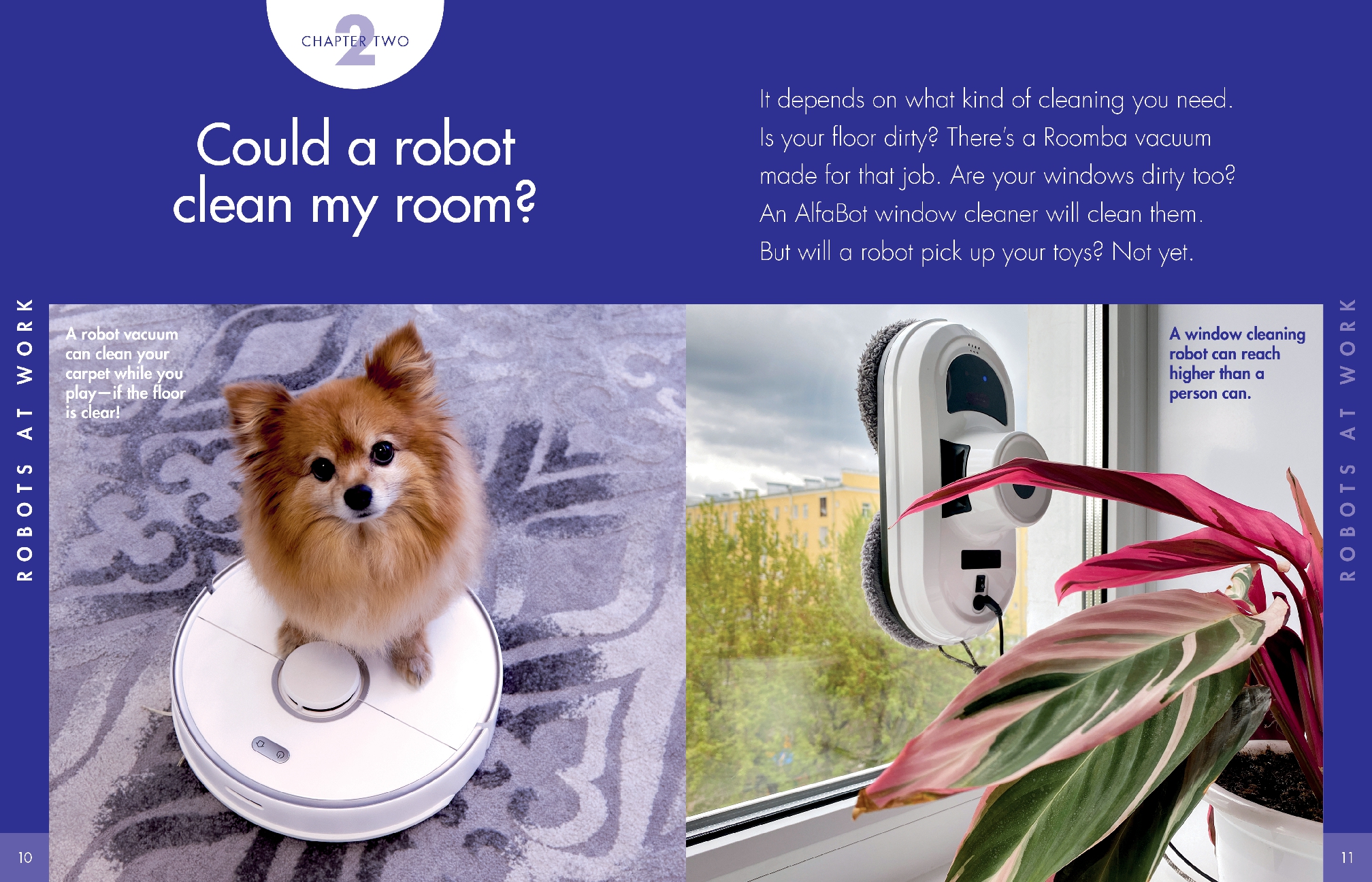 Curious about Robots at Home