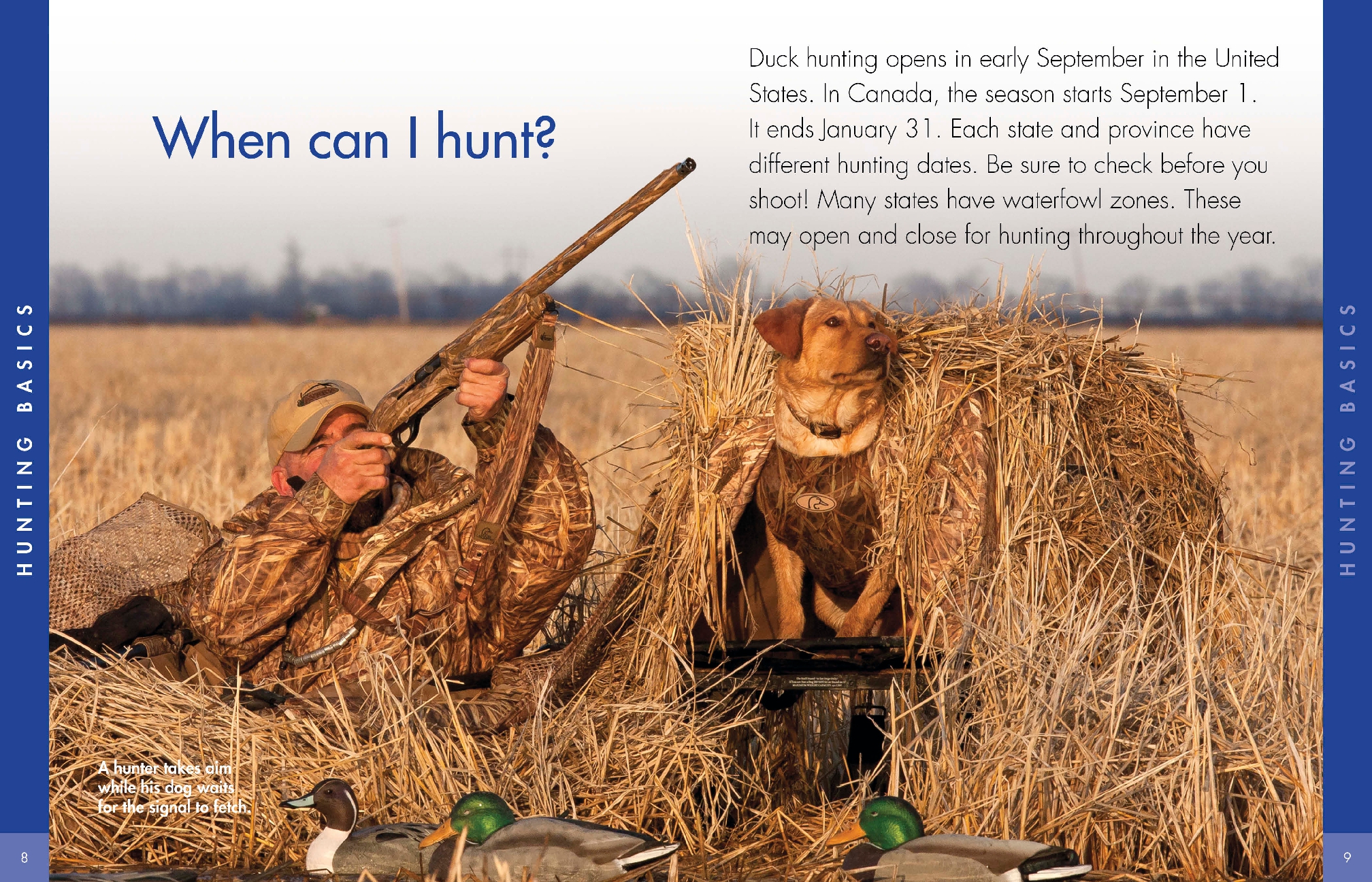 Curious about Duck Hunting