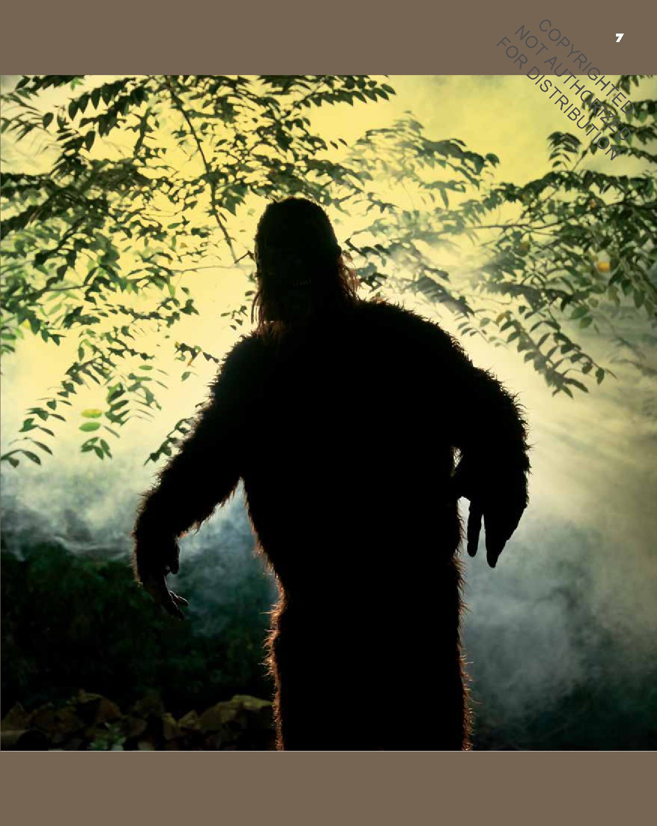 Bigfoot