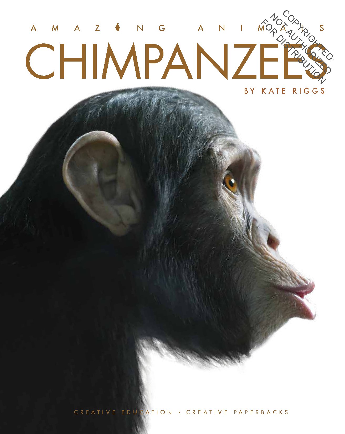 Chimpanzees