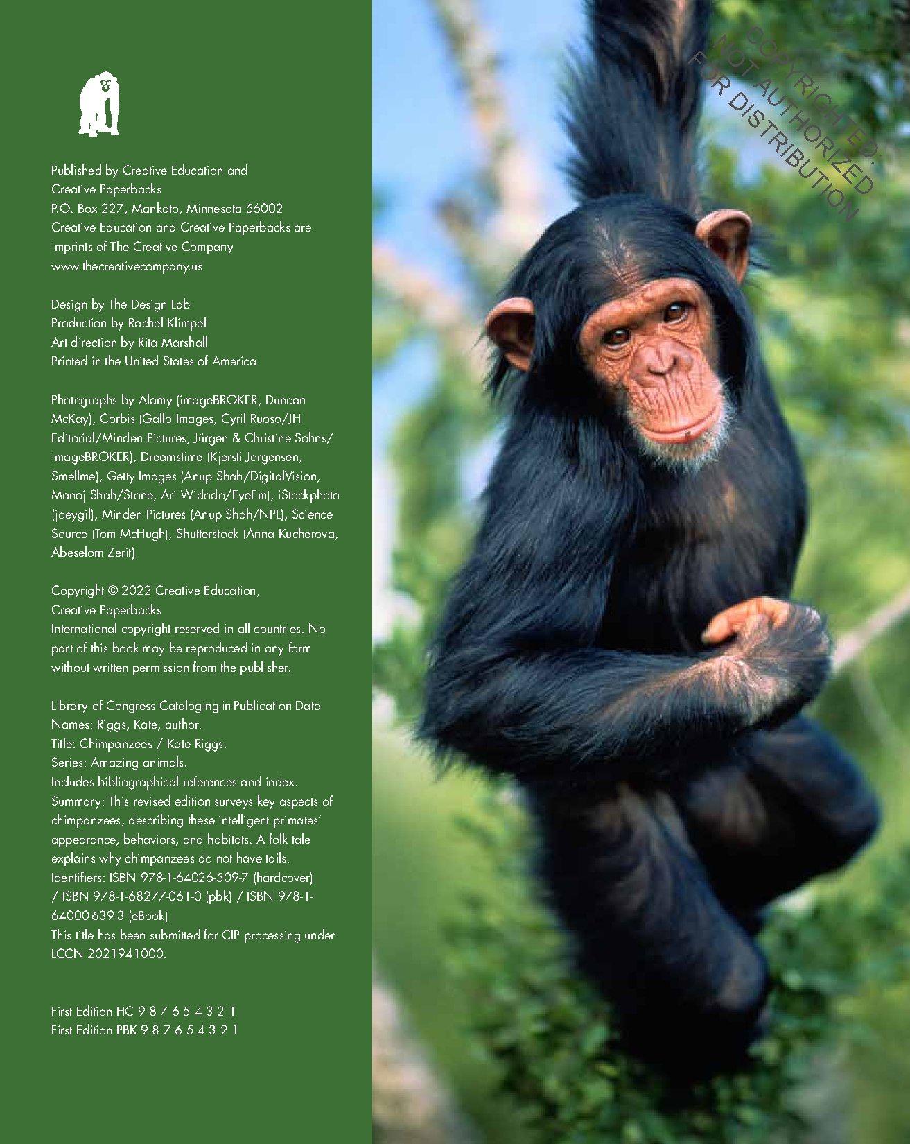 Chimpanzees