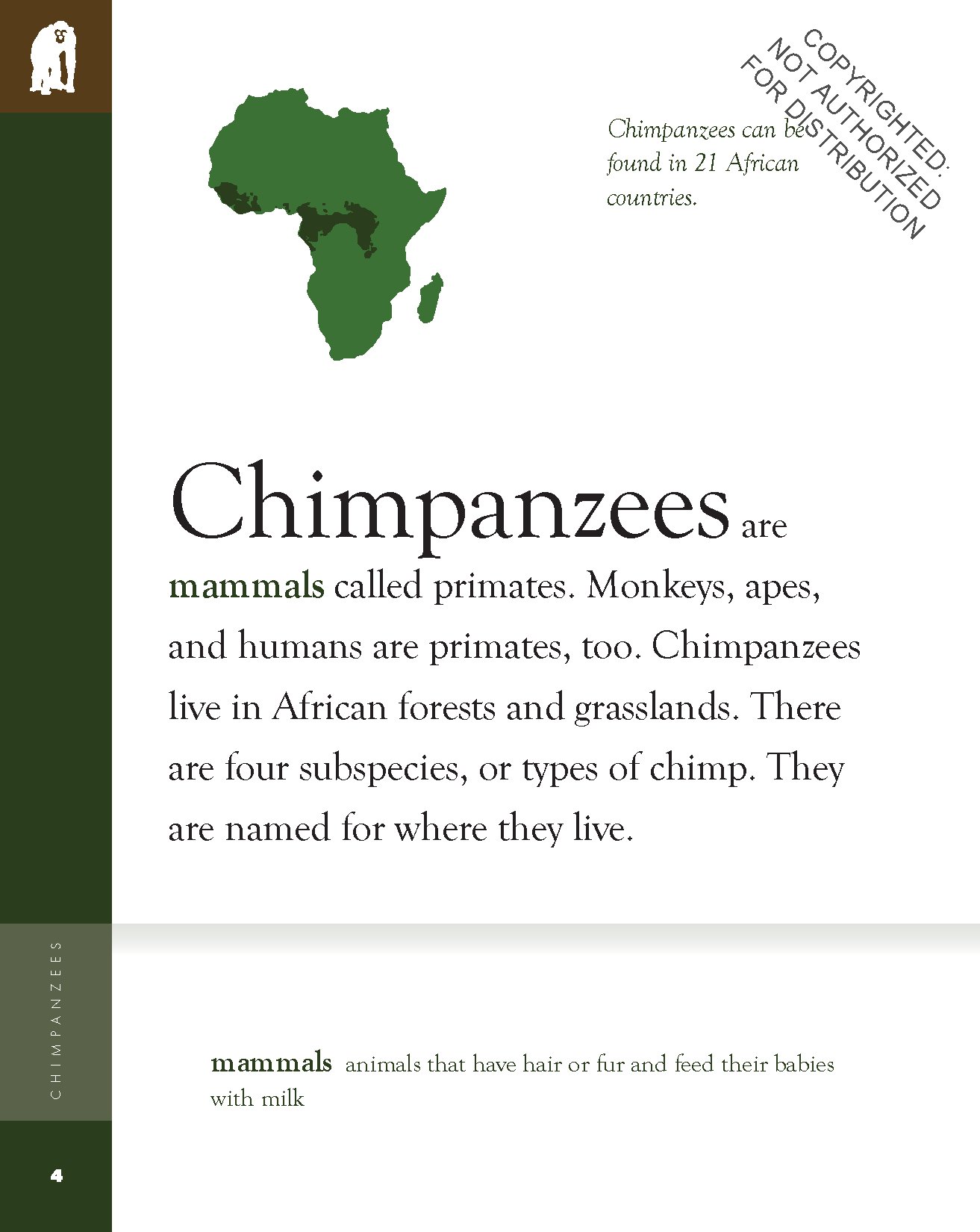 Chimpanzees